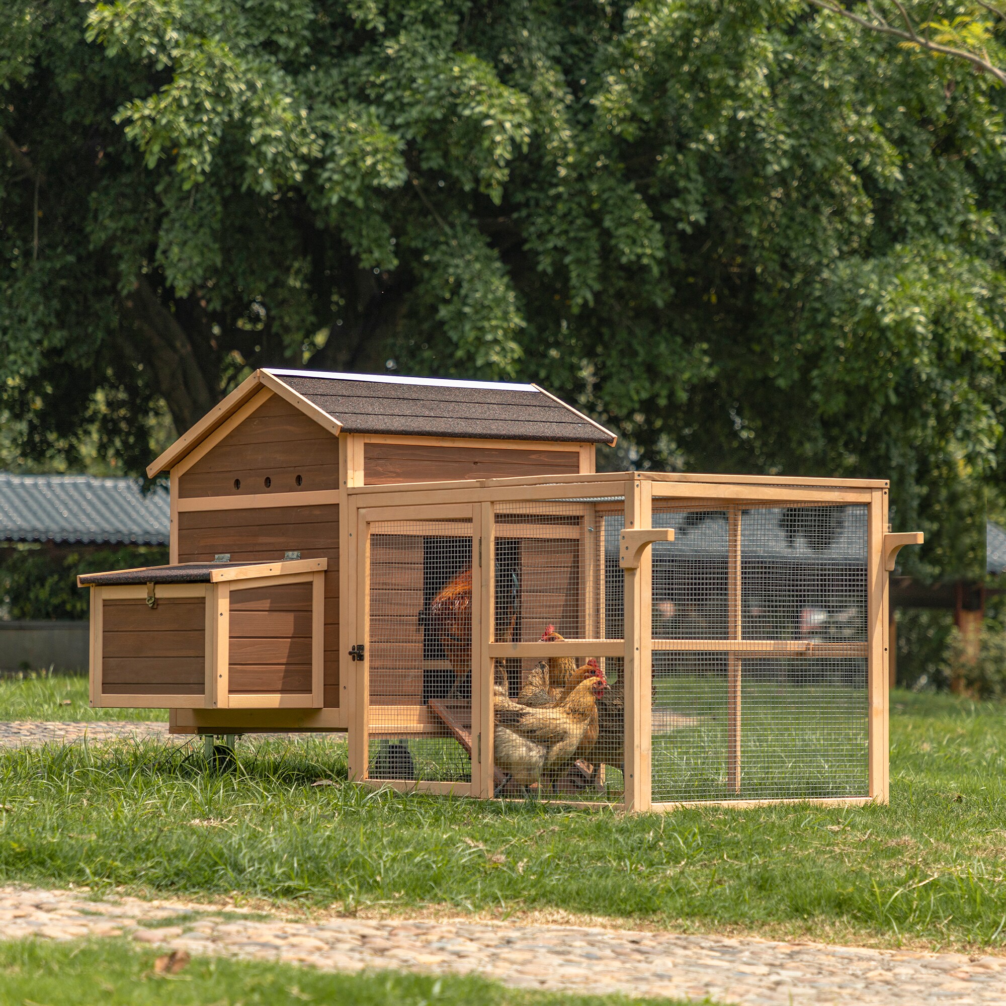 Tatayosi P-DJ-82621 Chicken-Coops-Rabbit-Hutches - View #4