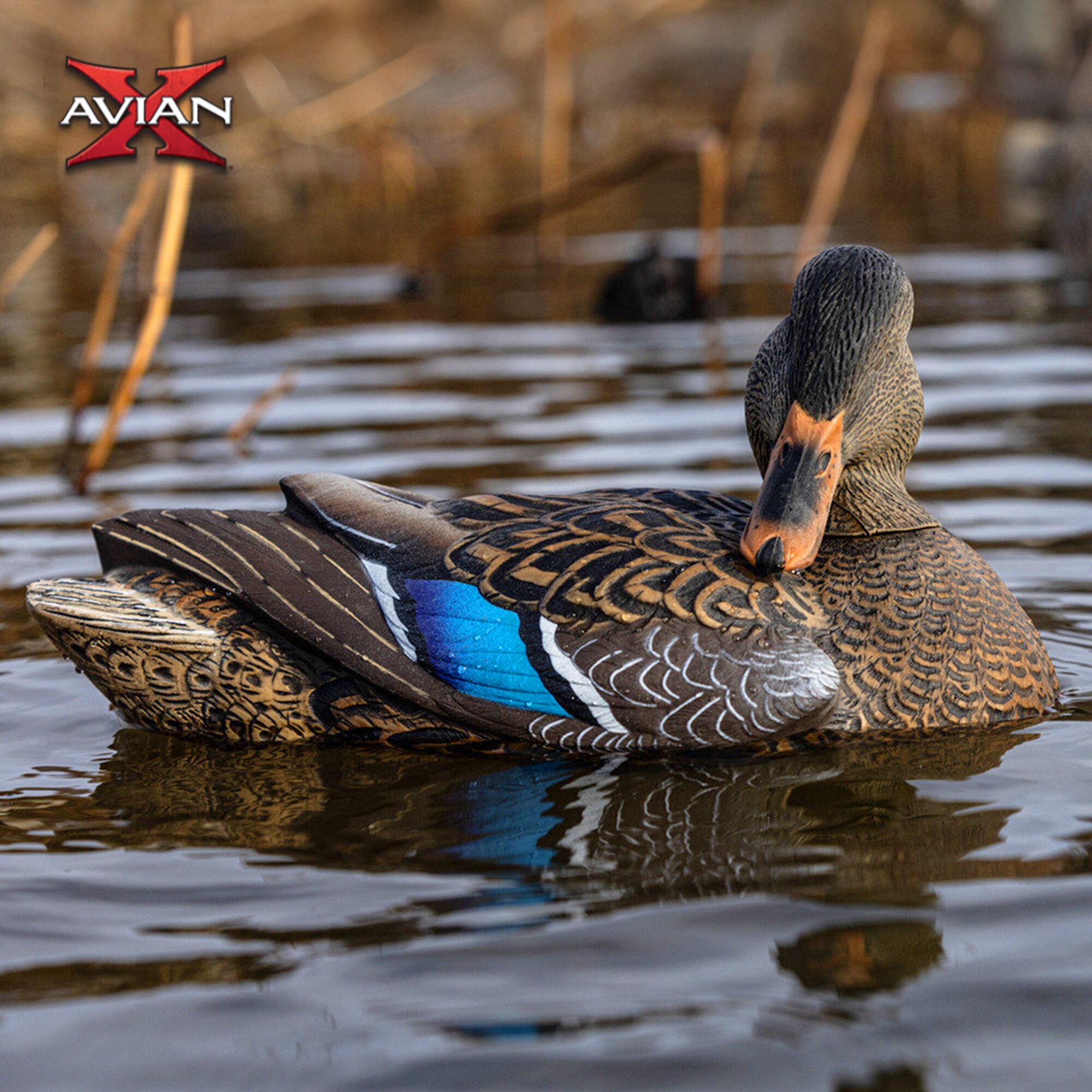 Avian X Power Shaker Mallard Hen Preener - Thumbnail 3