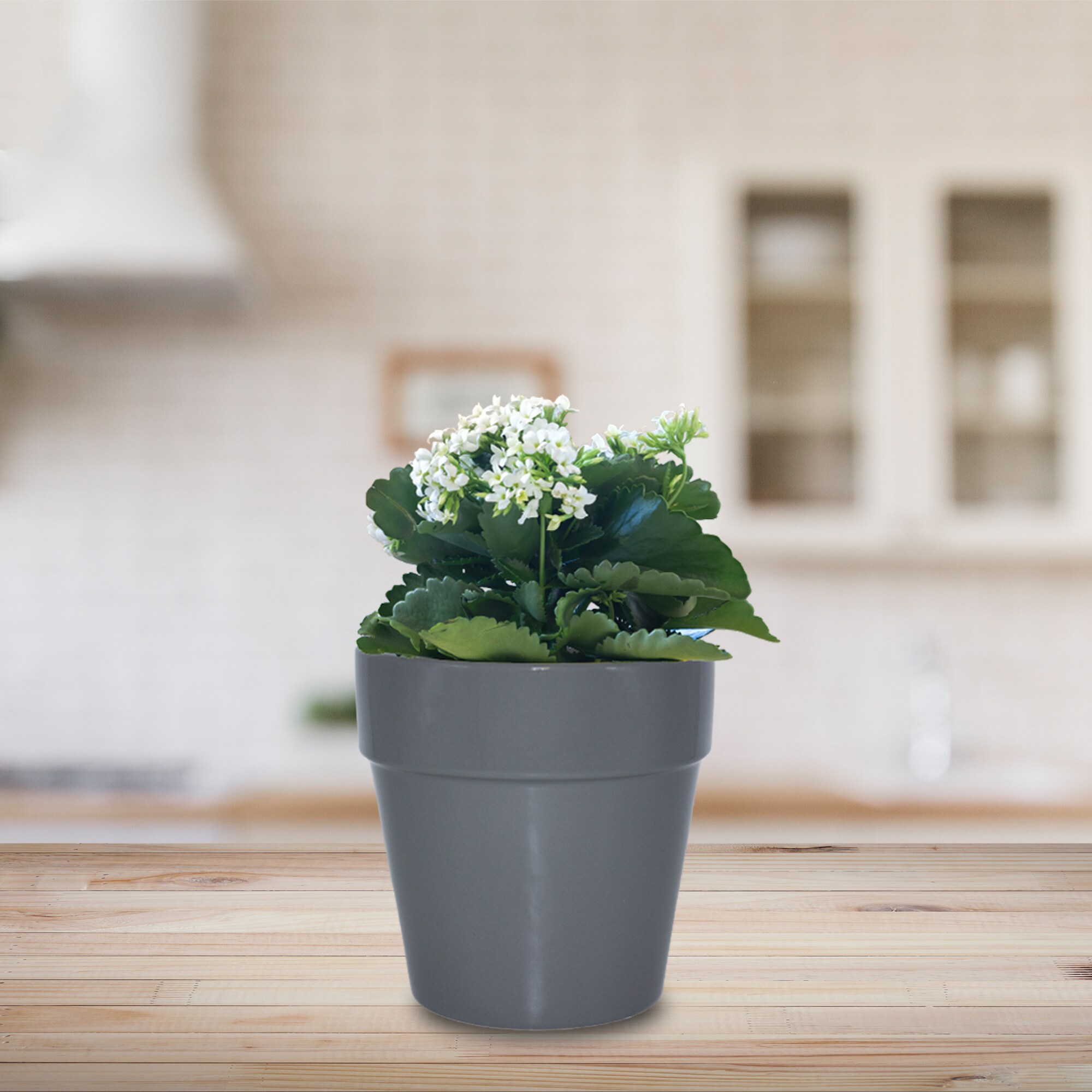 Garden Treasures CR10168-07H Planter-Window-Box - View #3