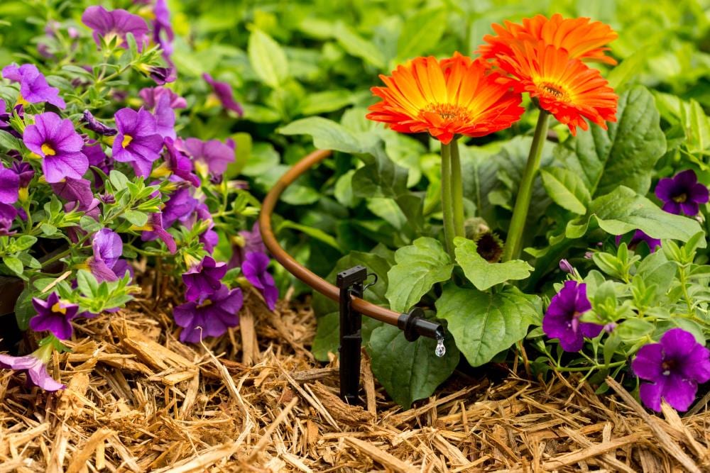 Rain Bird T22100BNX Drip-Irrigation-Tubing - View #2
