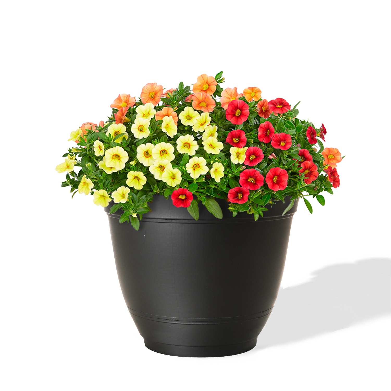 Style Selections DP2132P-BLACK Planter-Window-Box - View #2