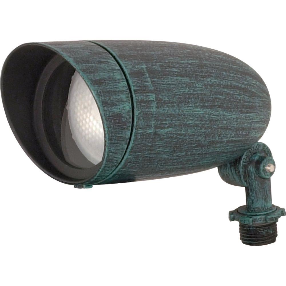 800-Lumen 50-Watt Antique Verdigris Line Voltage Hardwired Incandescent Landscape Flood Light