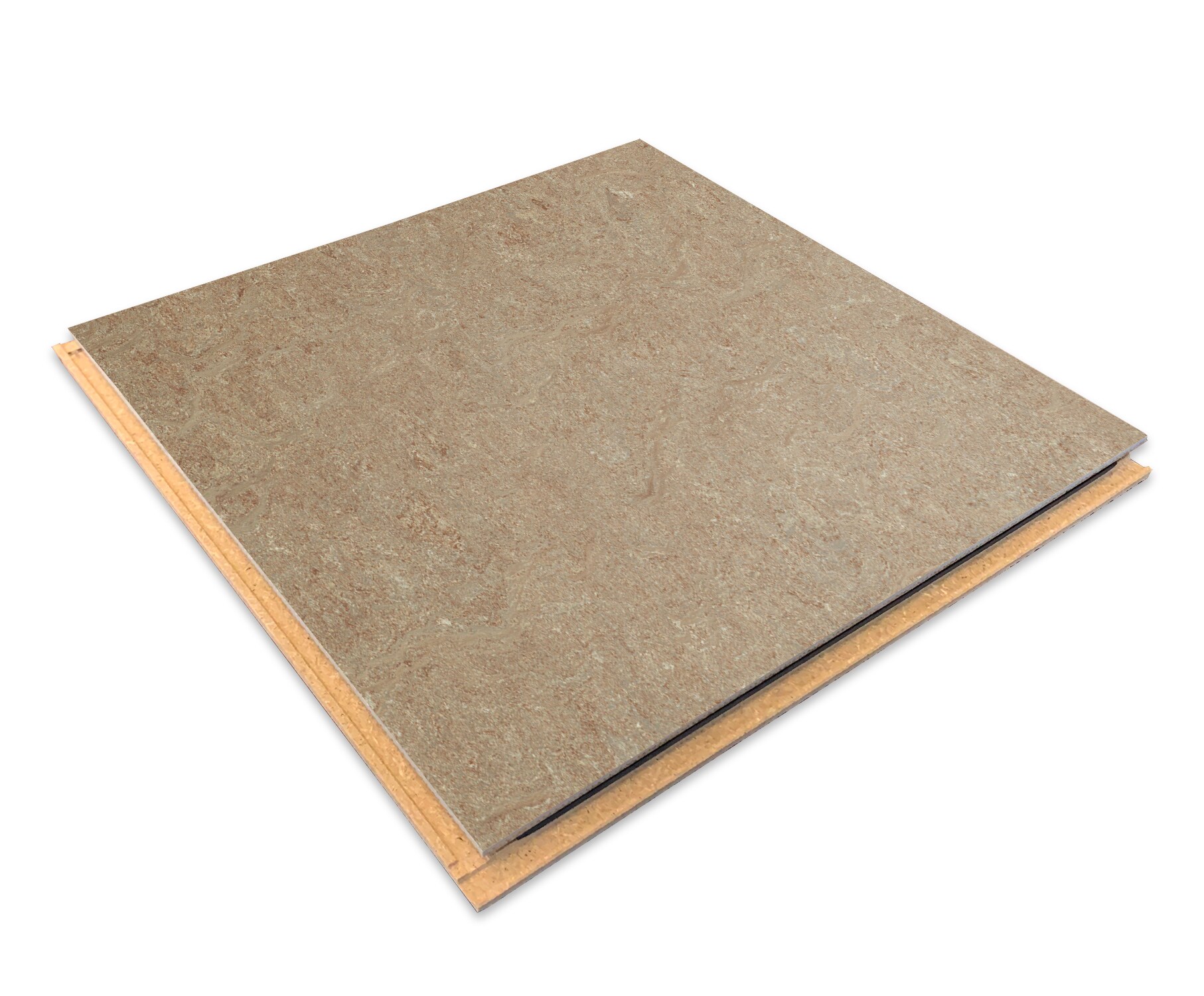 Forbo Flooring Systems Marmoleum Cinch Loc Seal Weathered Sand 10-mm T ...