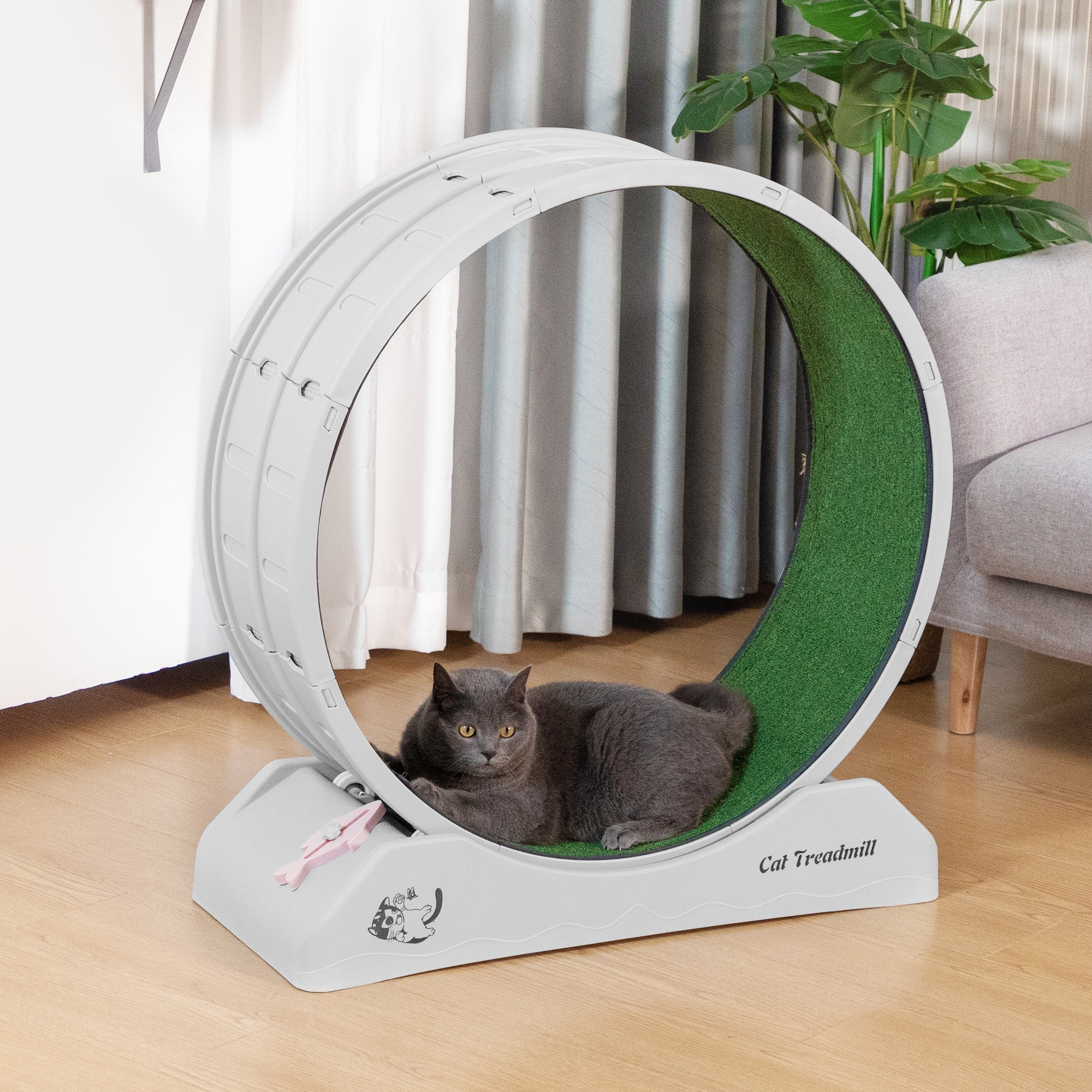 Gray and Green Freestanding Plastic Cat Exercise Wheel