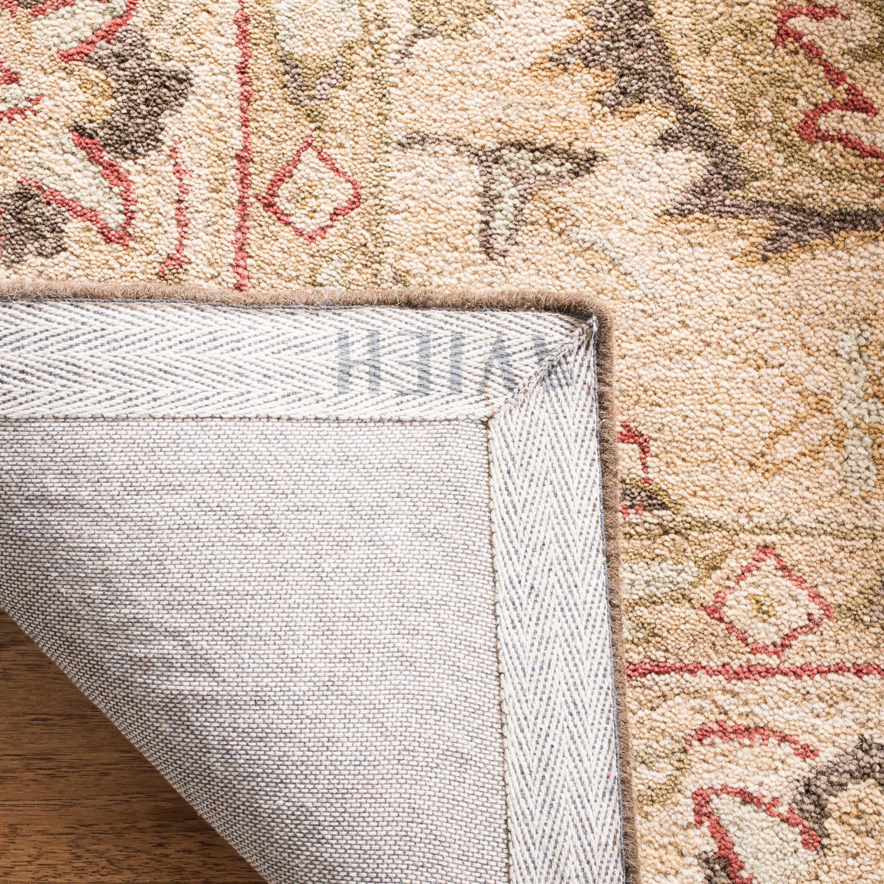 Safavieh AN512A-6 rugs - View #4