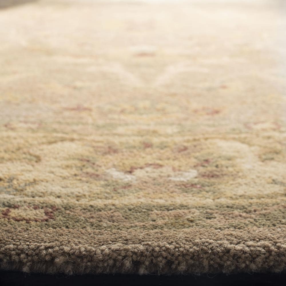 Safavieh AT311A-6R rugs - View #3