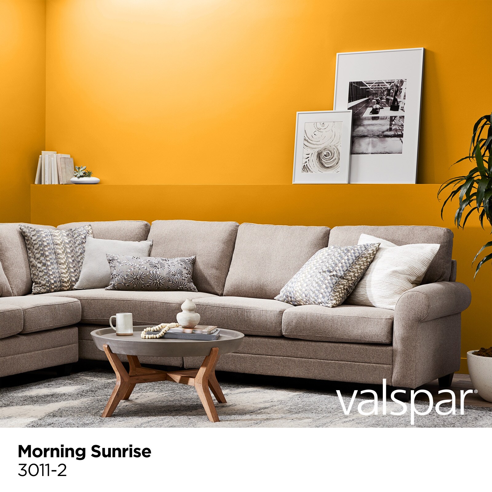 Valspar 3011-2-28328 Int-Ext-Paint - View #2