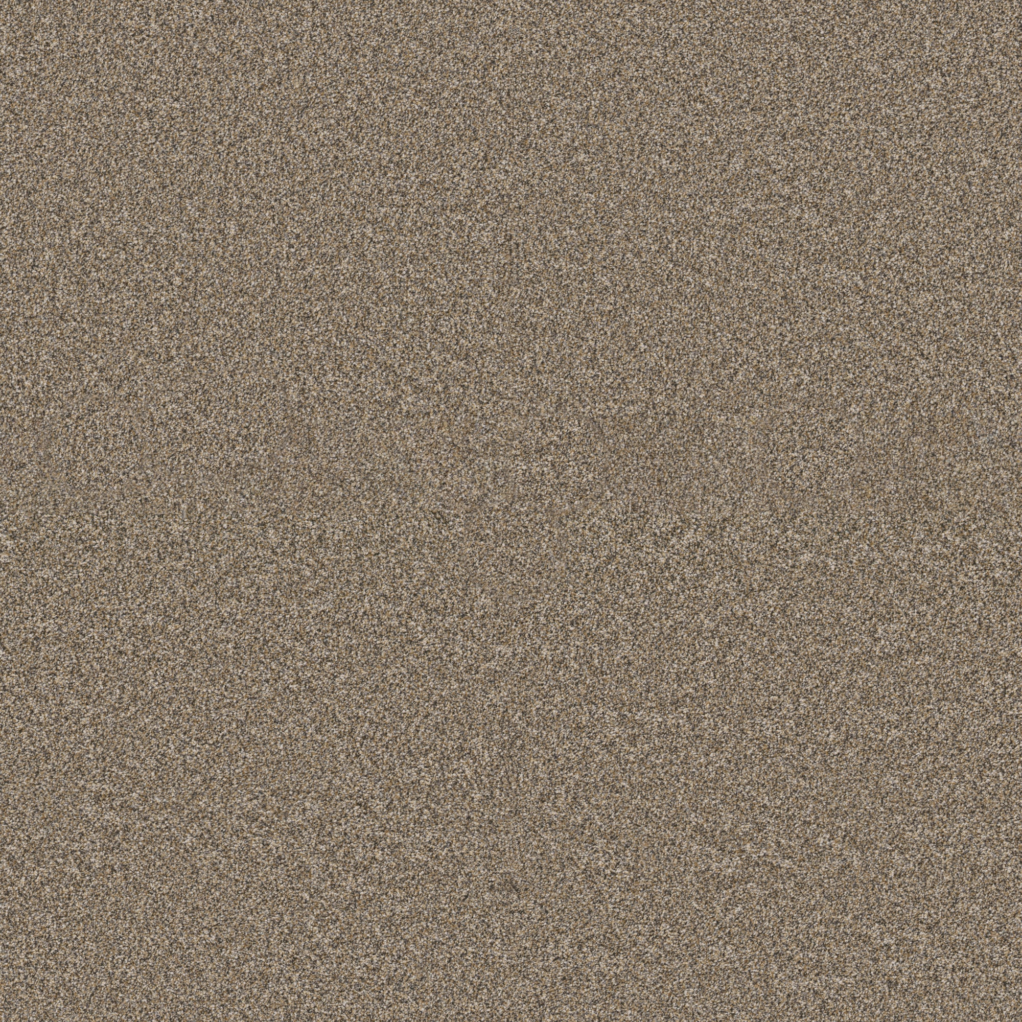 STAINMASTER PetProtect 7L931-210-SAMP (Sample) with LeakDefense Pacific Charm II Summer Straw Brown 75-oz sq yard Polyester Textured Indoor Carpet
