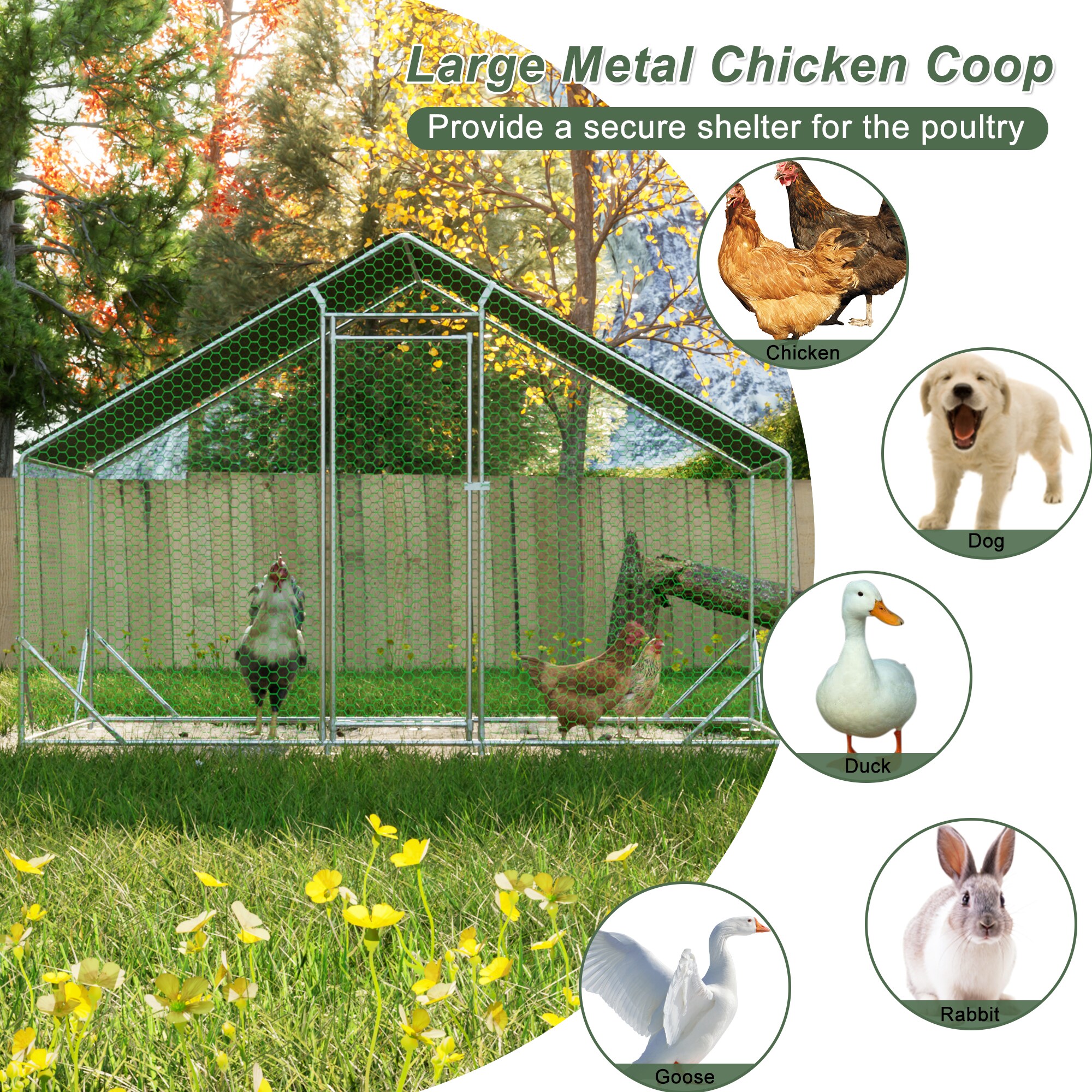Xspracer ML-PCC36WP Chicken-Coops-Rabbit-Hutches - View #4