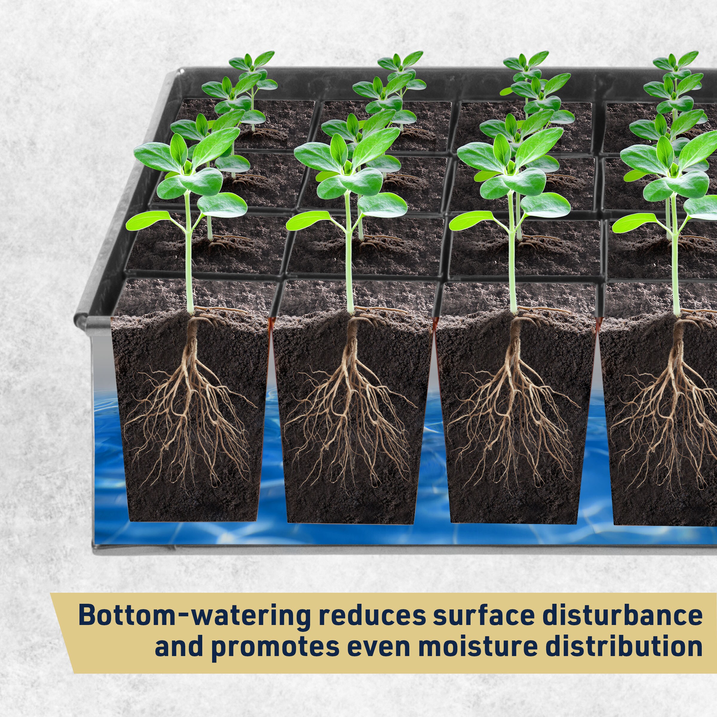 Kings County tools GW87A02-04 Greenhouse-Vent-Openers - View #4