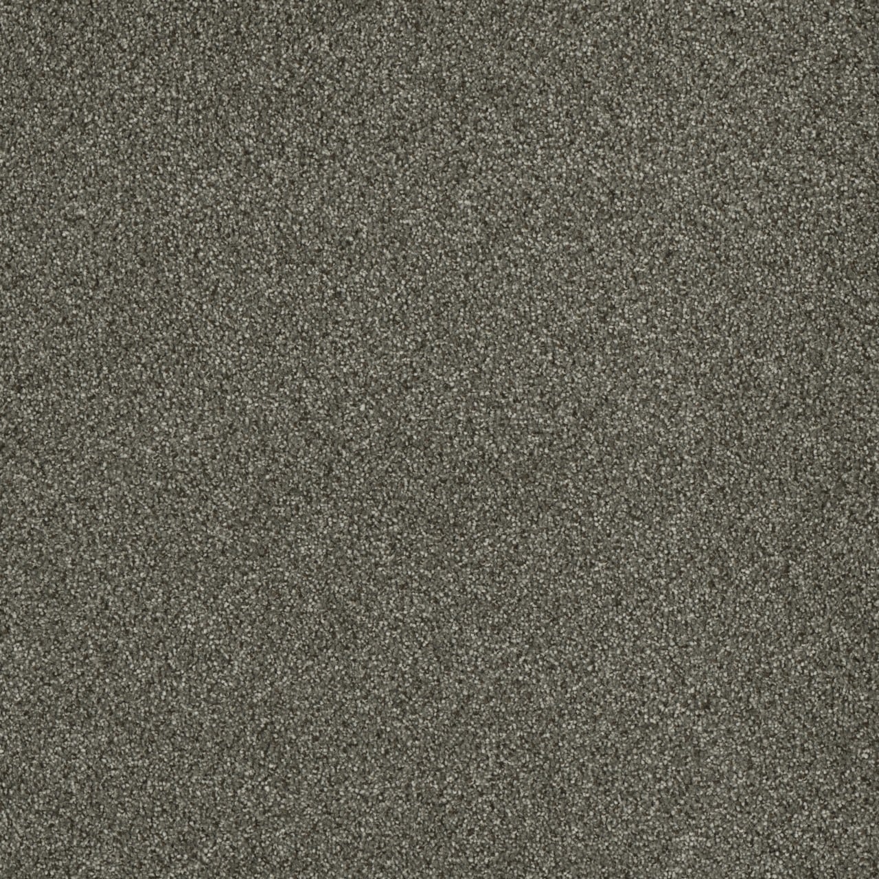 STAINMASTER L5020-1814-1200-AB Royal Flush III Double Down Gray 80-oz sq yard Solution-dyed polyester Textured Indoor Carpet