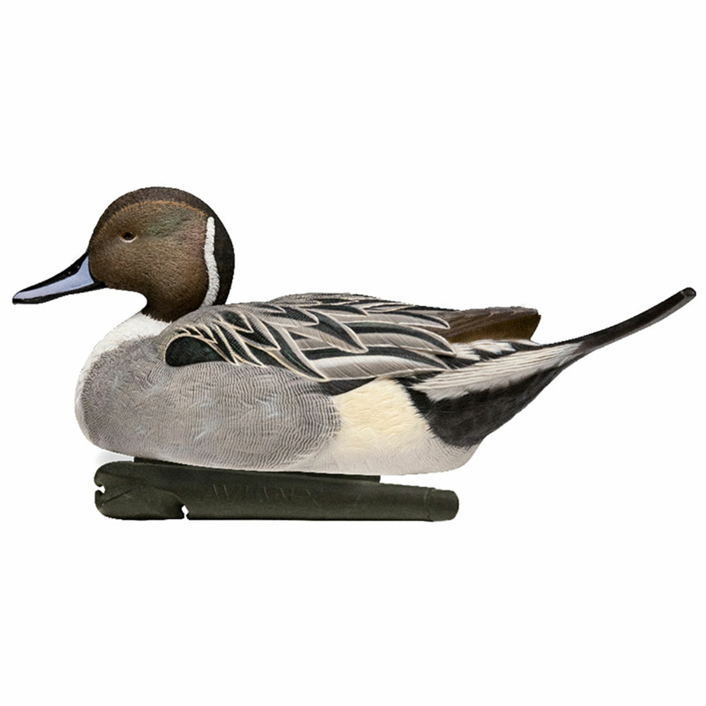  Avian X 408558 Hunting-Equipment - View #4