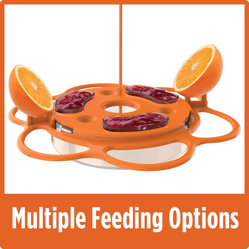 Nature's Way OFP1-CP1 Bird-Feeders - View #14