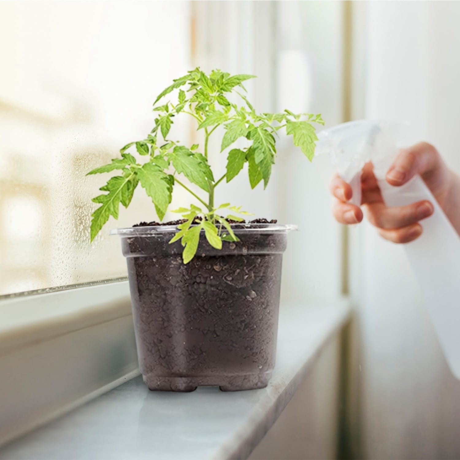 AHIOU HOME ZAAHD-H2JNSYPP Planter-Window-Box - View #4
