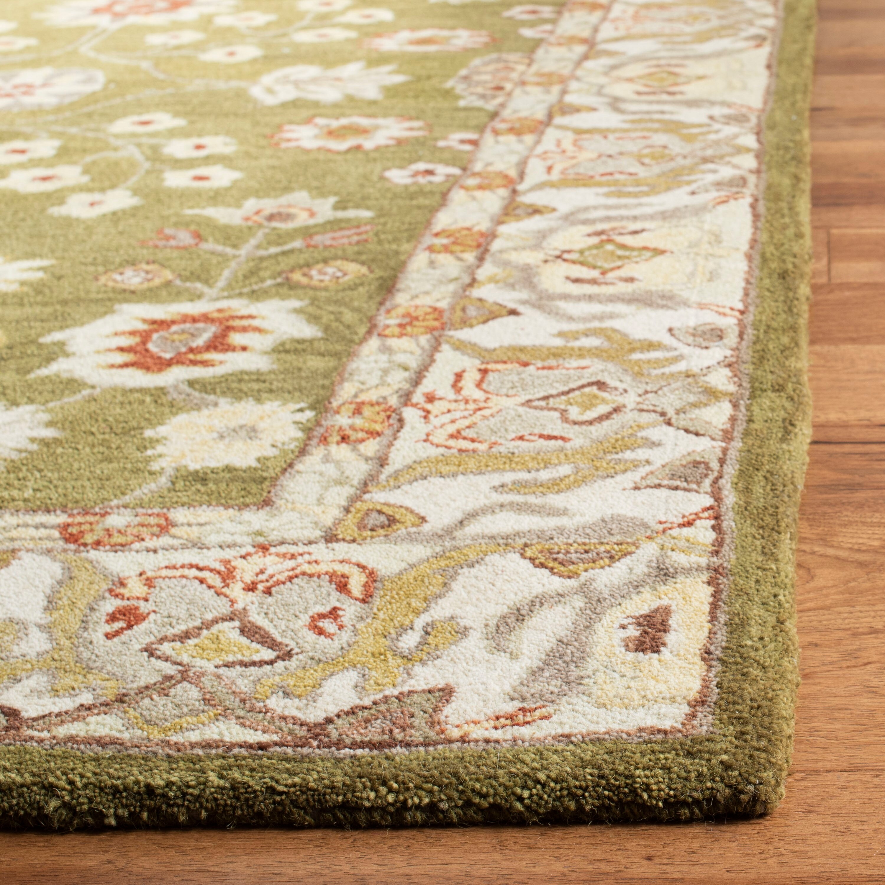 Safavieh AN562D-4 rugs - View #4