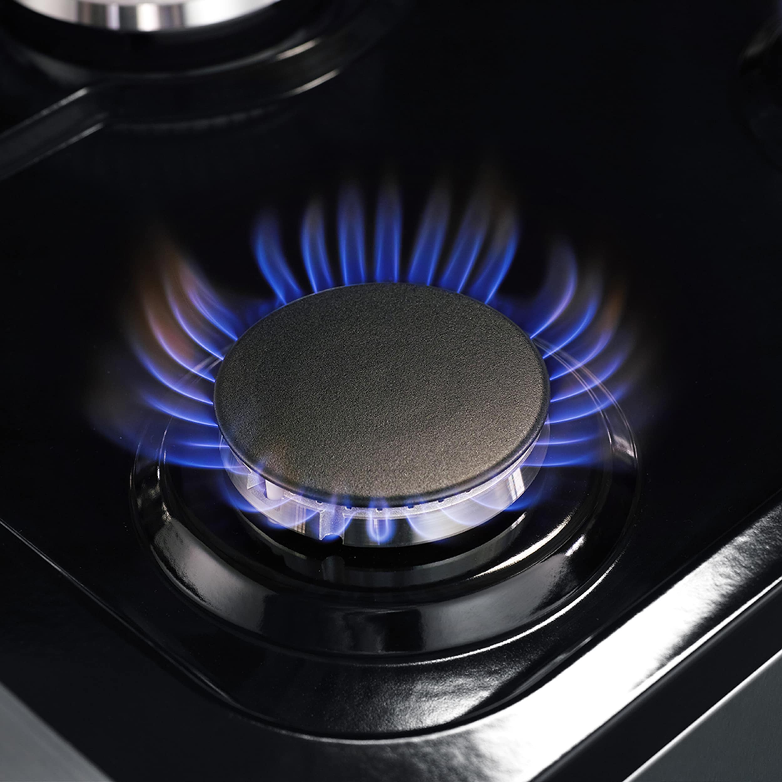 Massimo 48-inch Stainless Steel Dual Fuel Range with Griddle