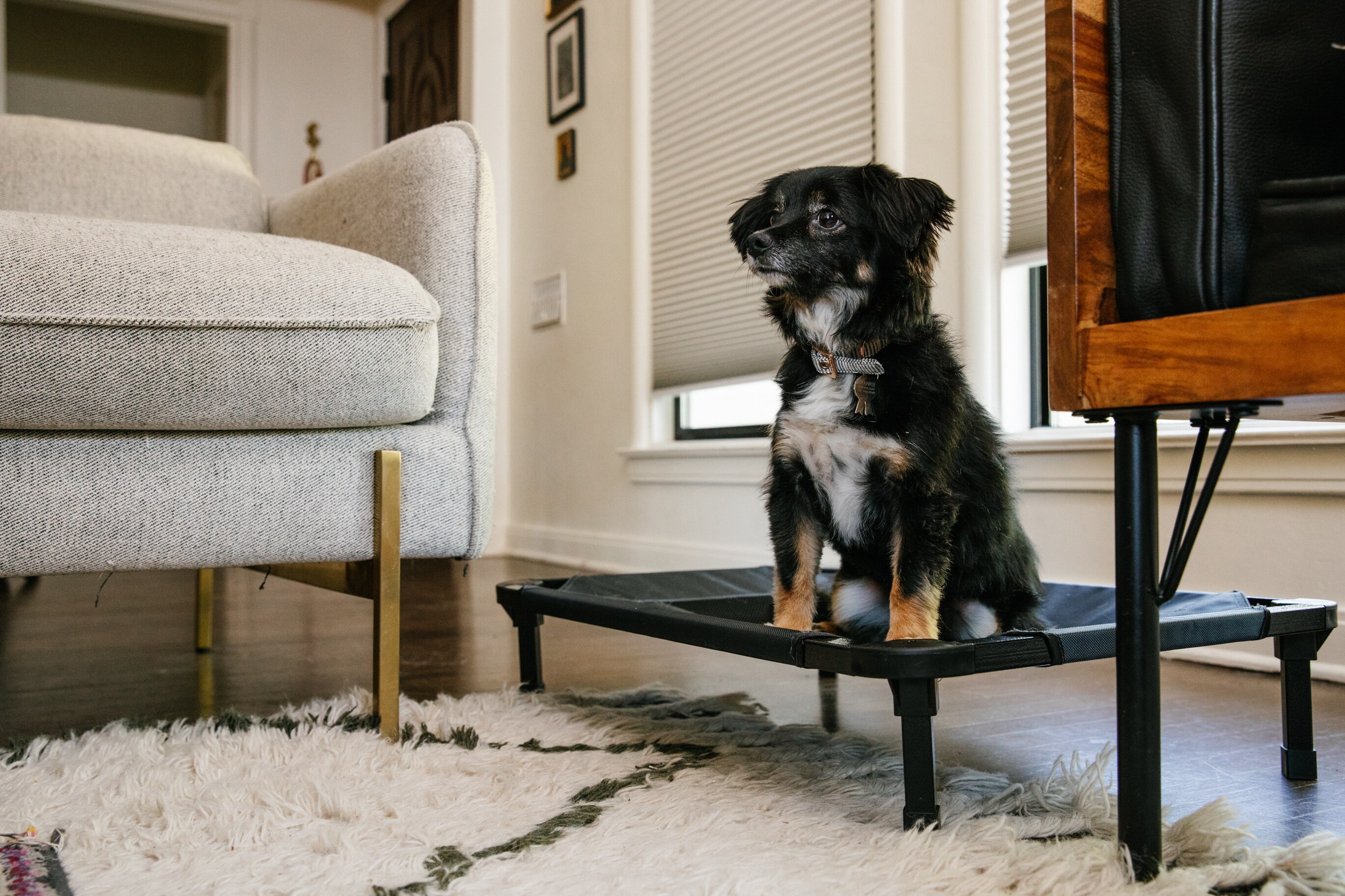 Lucky Dog CMB10130-ZE0310 Pet-Beds - View #7