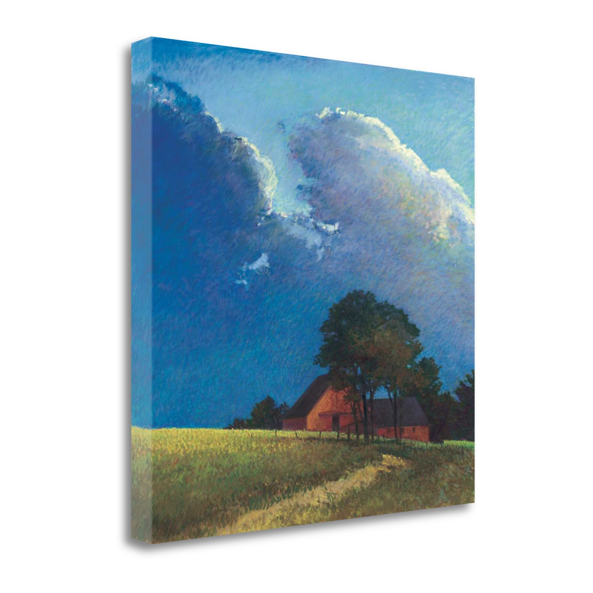 Summer Storm Landscape Canvas Art Print