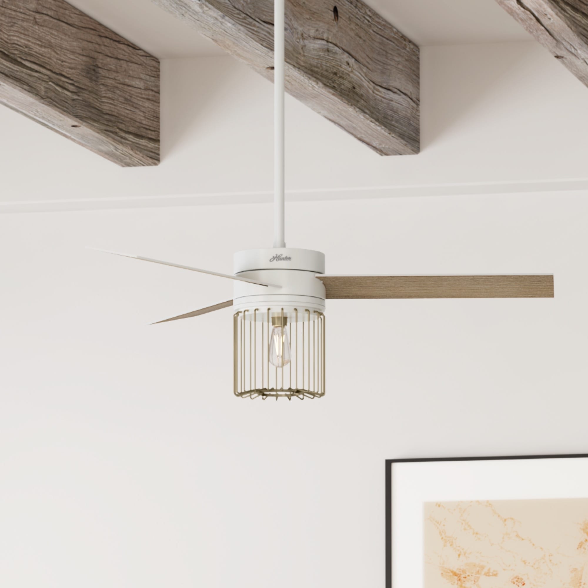 Hunter 59238 Ceiling-Fans - View #5
