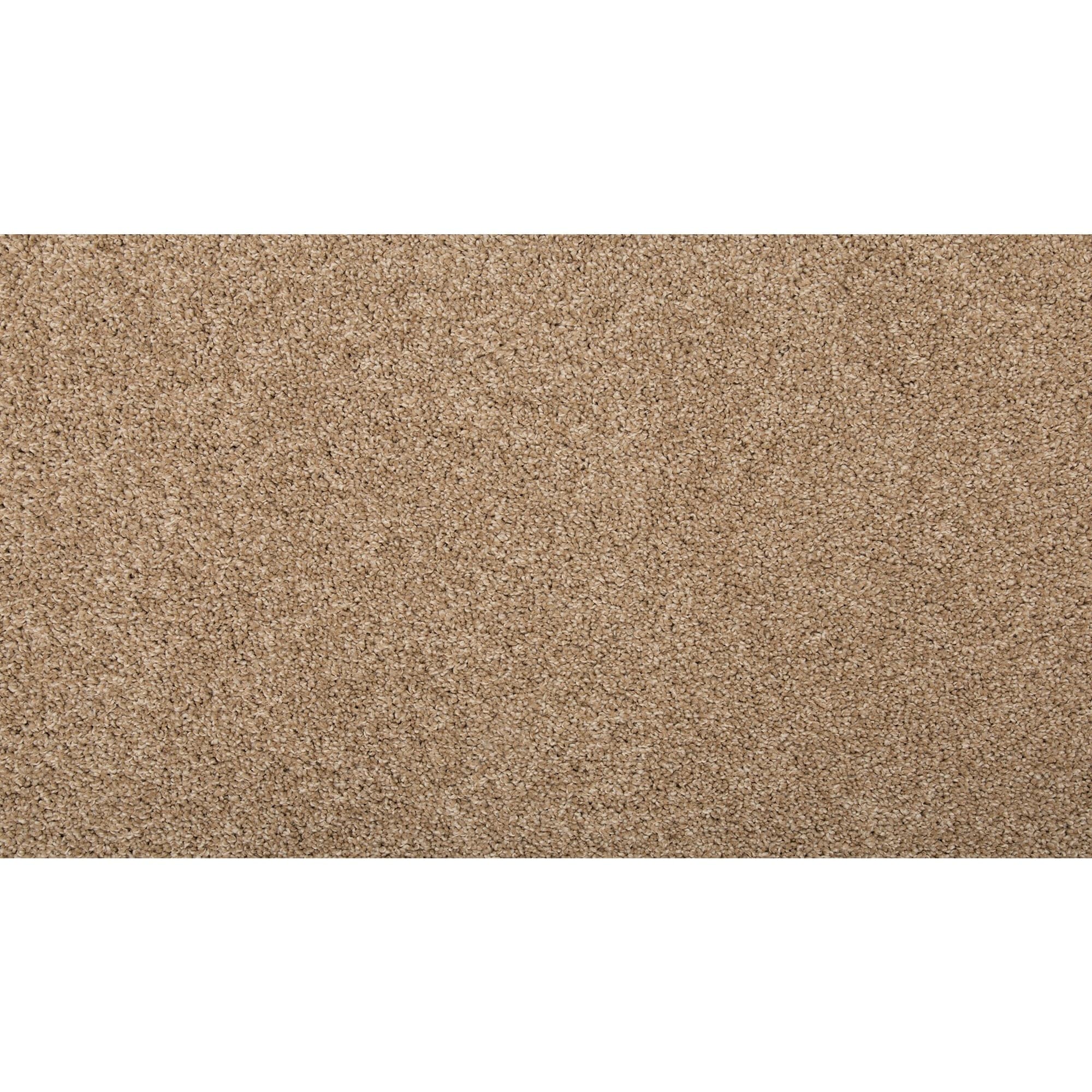 STAINMASTER SS013-12-L002 Memorable Touch II Cafe Au Lait Brown 50-oz sq yard Solution-dyed polyester Textured Indoor Carpet
