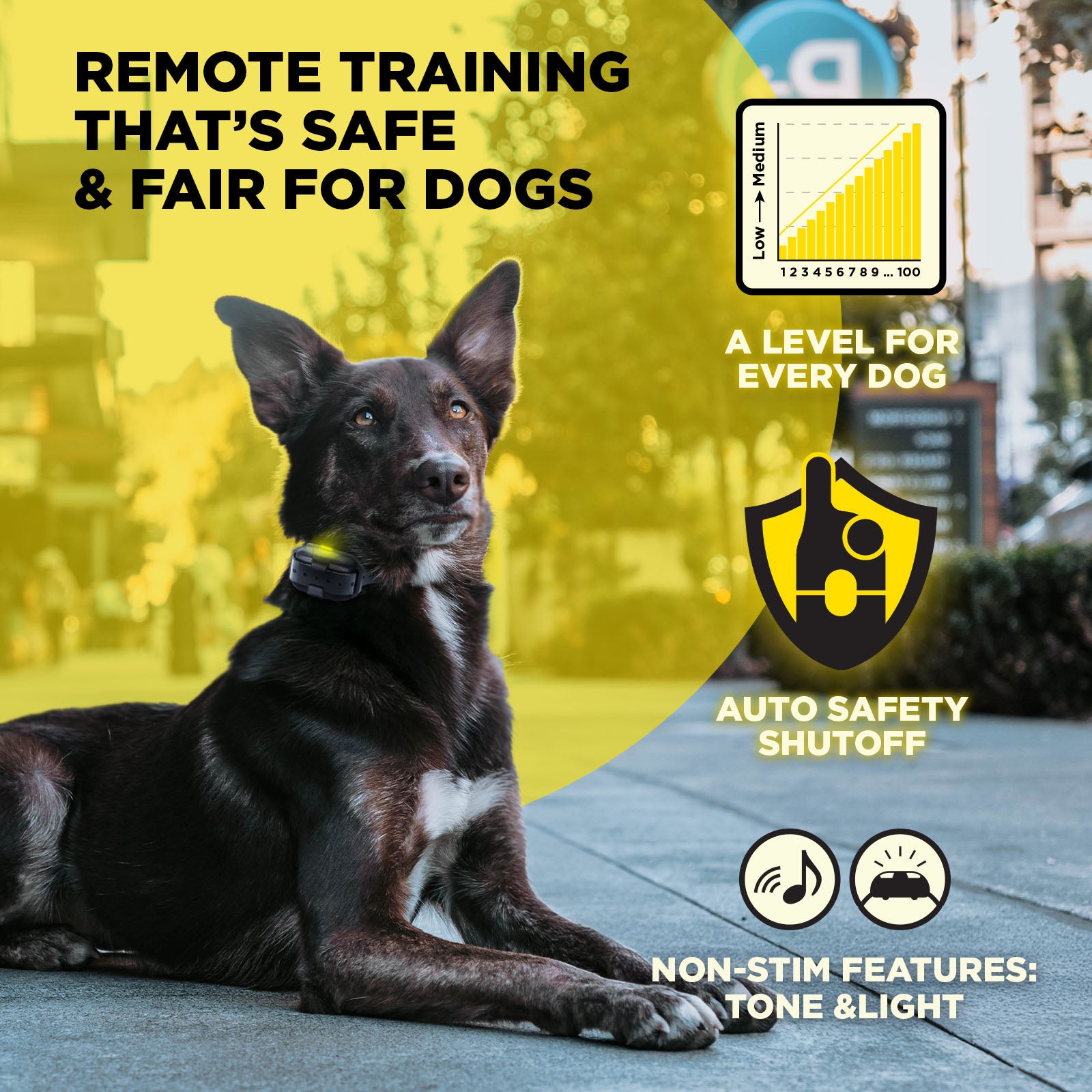 Dogtra 644622021212 Pet-Training-Collars - View #6