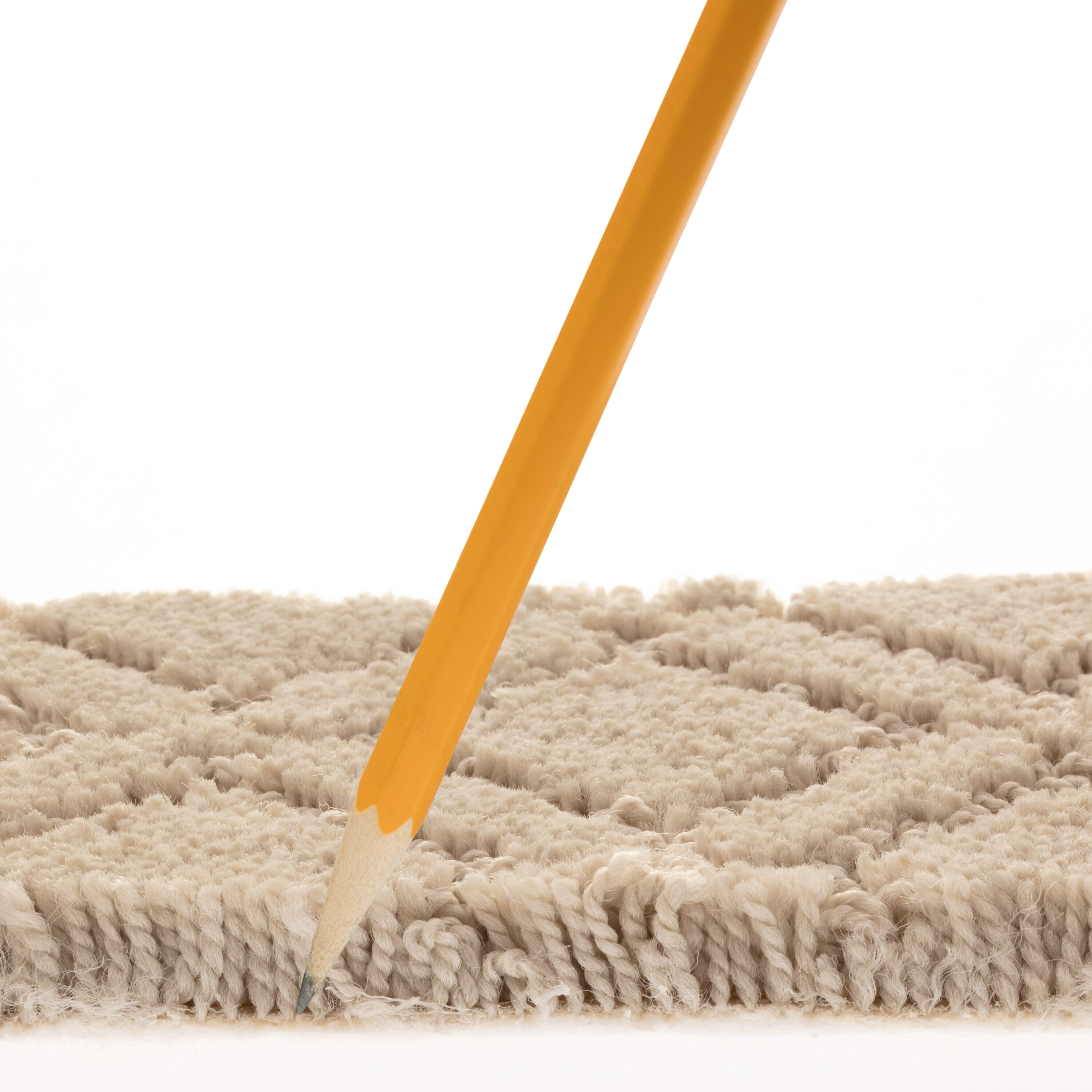 STAINMASTER PetProtect 7L901 - 511 - SAMP Carpet-Samples - View #7