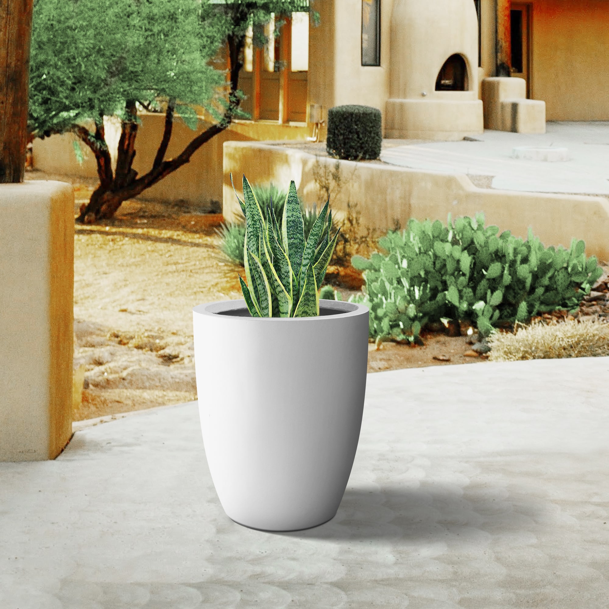 PLANTARA PA153B-8011 Planter-Window-Box - View #8