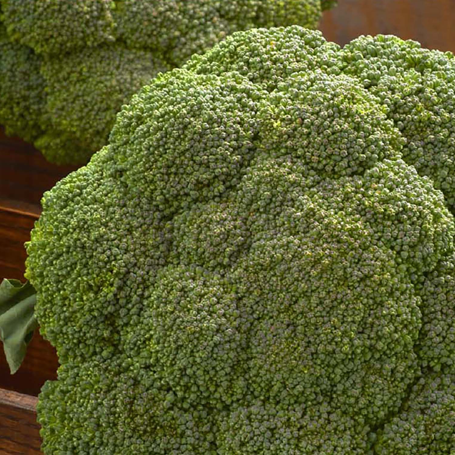 Ferry-Morse LC25.9556 Vegetable-Herb-Seeds - View #3