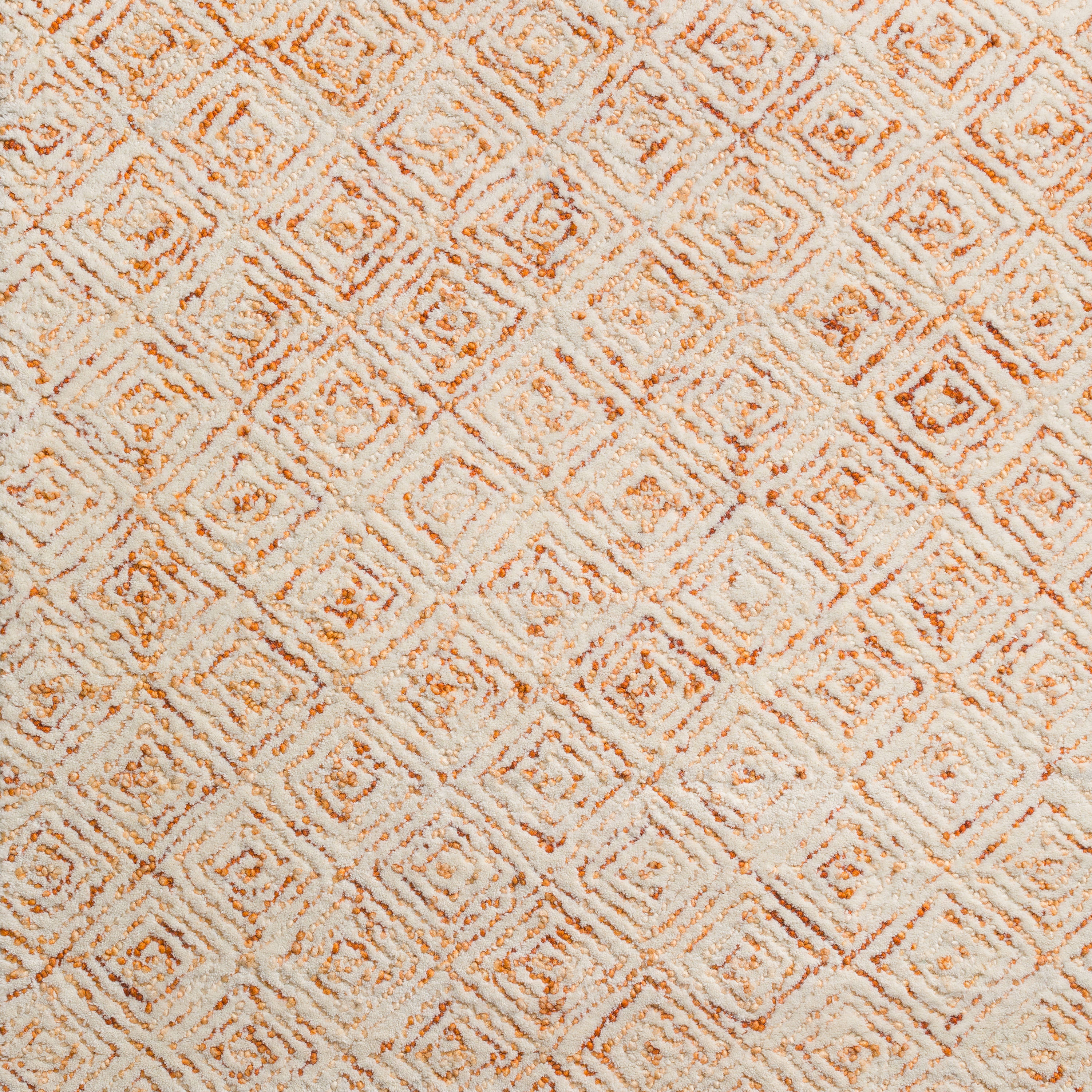 Addison Rugs ADL31SU5X8 rugs - View #2