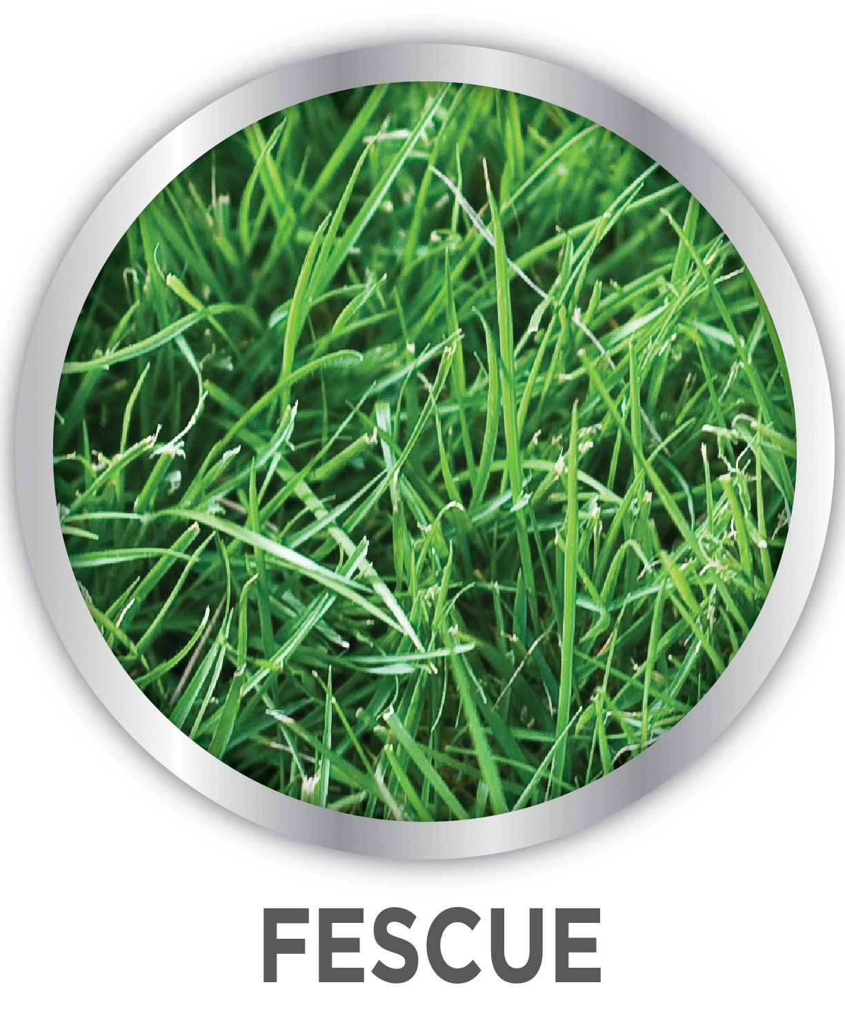 IMAGE 7062461009 Weed-Preventers - View #9