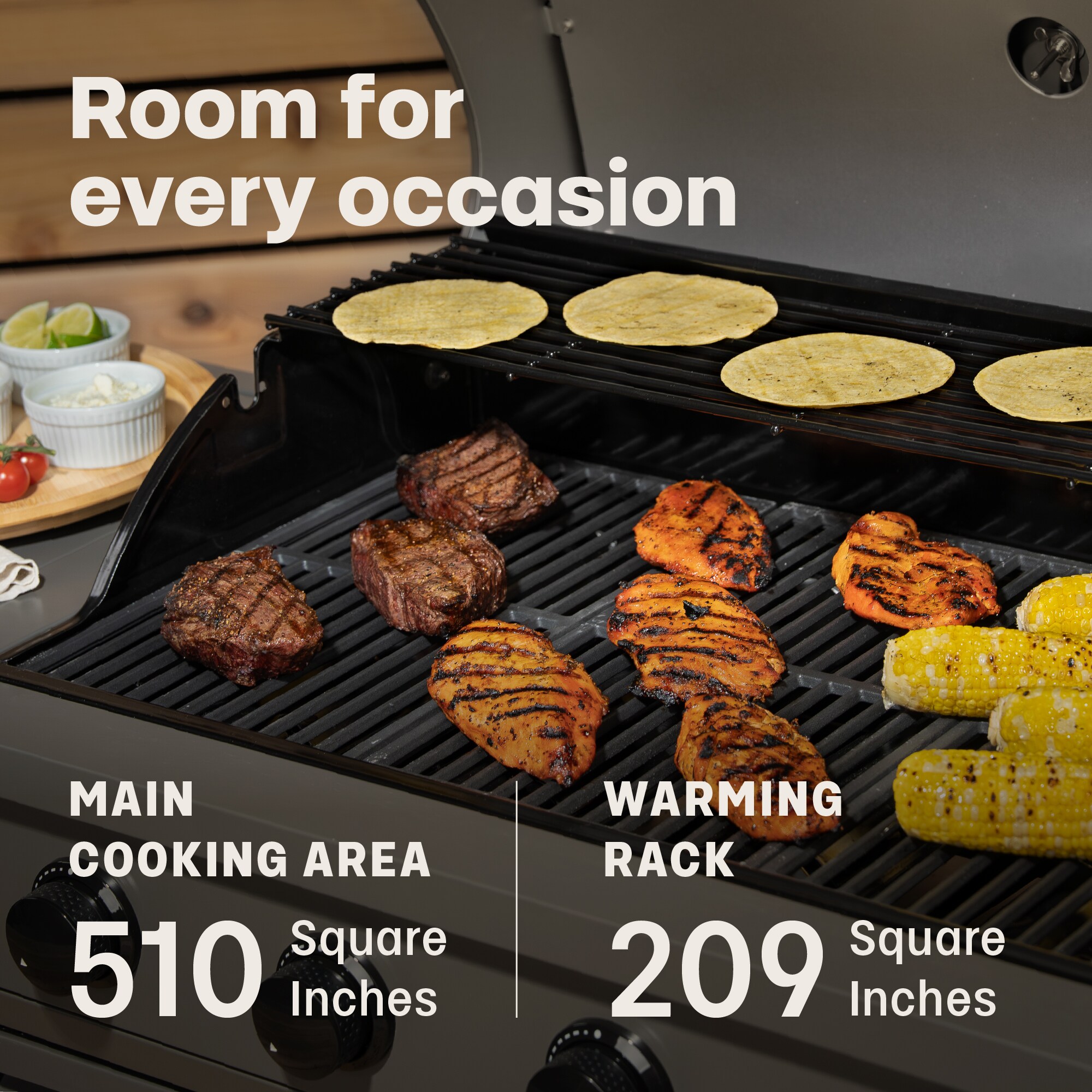 TYTUS TDT-021-0104 Gas-Grill - View #9