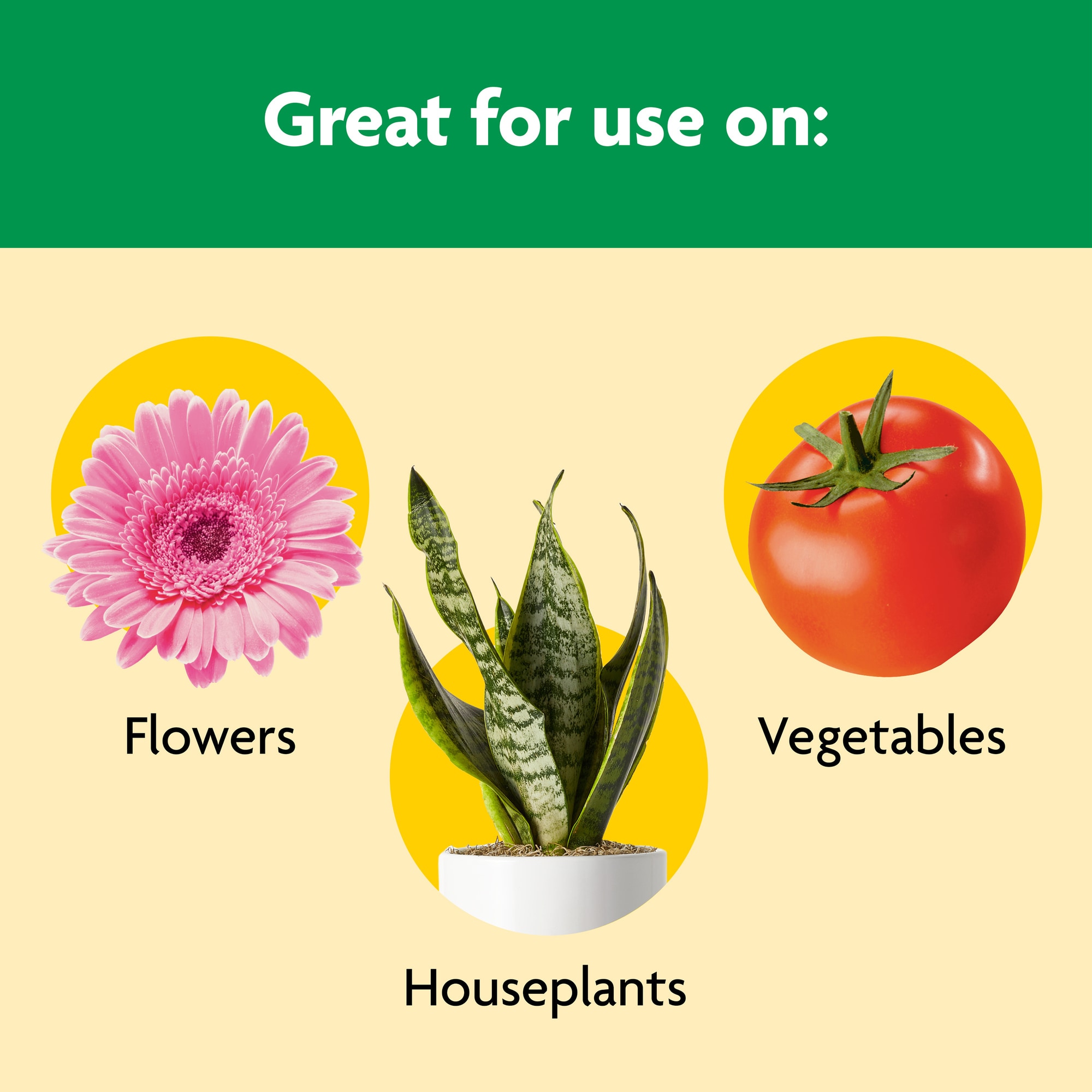Miracle-Gro 3001901 Plant-Food - View #4