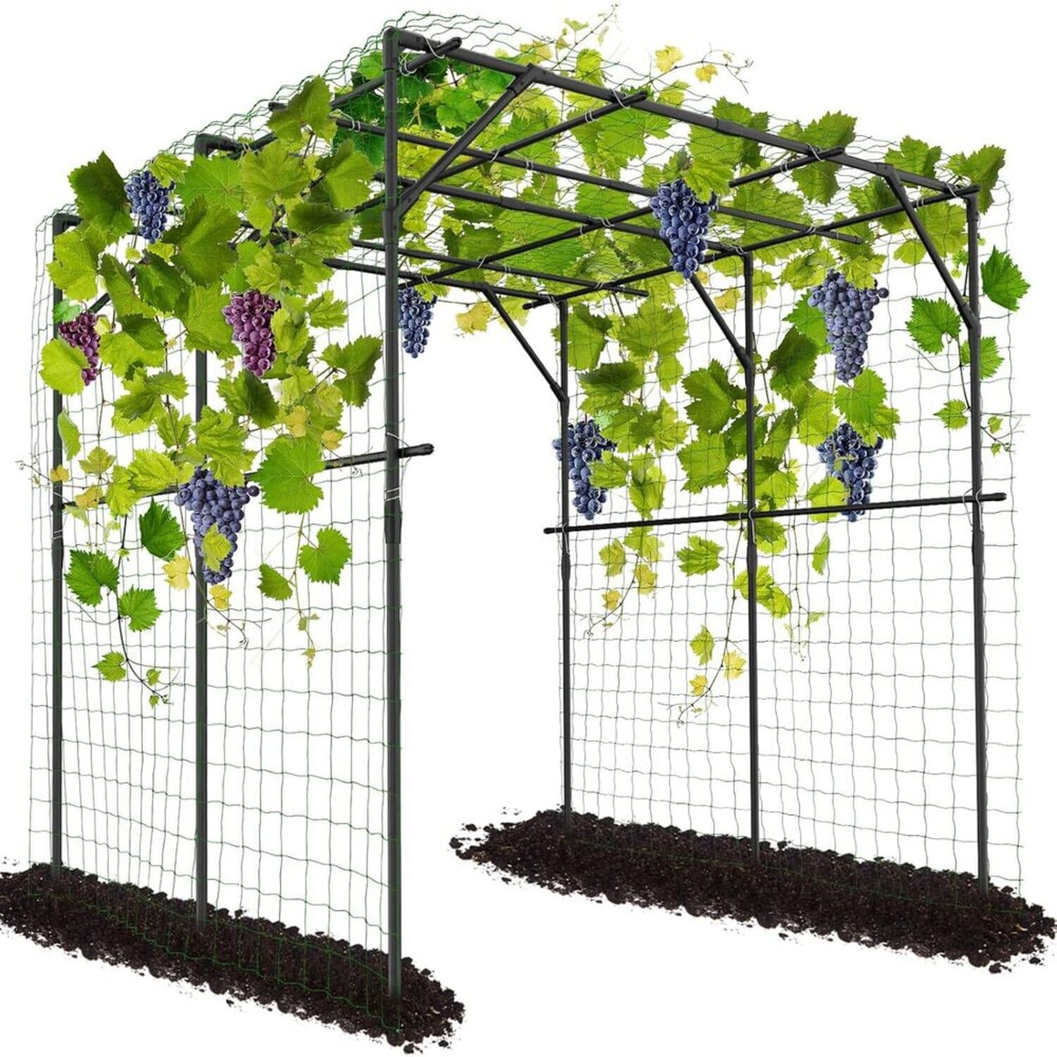 Esazn I1327138-BK-FULLHG Outdoor Garden Arch Trellis for Climbing Plants 78.7-in W x 78.7-in H Black Steel Traditional Garden Trellis For Climbing Plants For Cucumbers For Roses For Tomatoes
