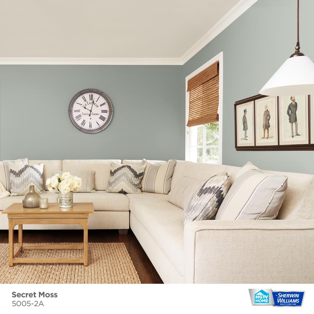 HGTV HOME by Sherwin-Williams 5005-2A-2557213 Int-Ext-Paint - View #3