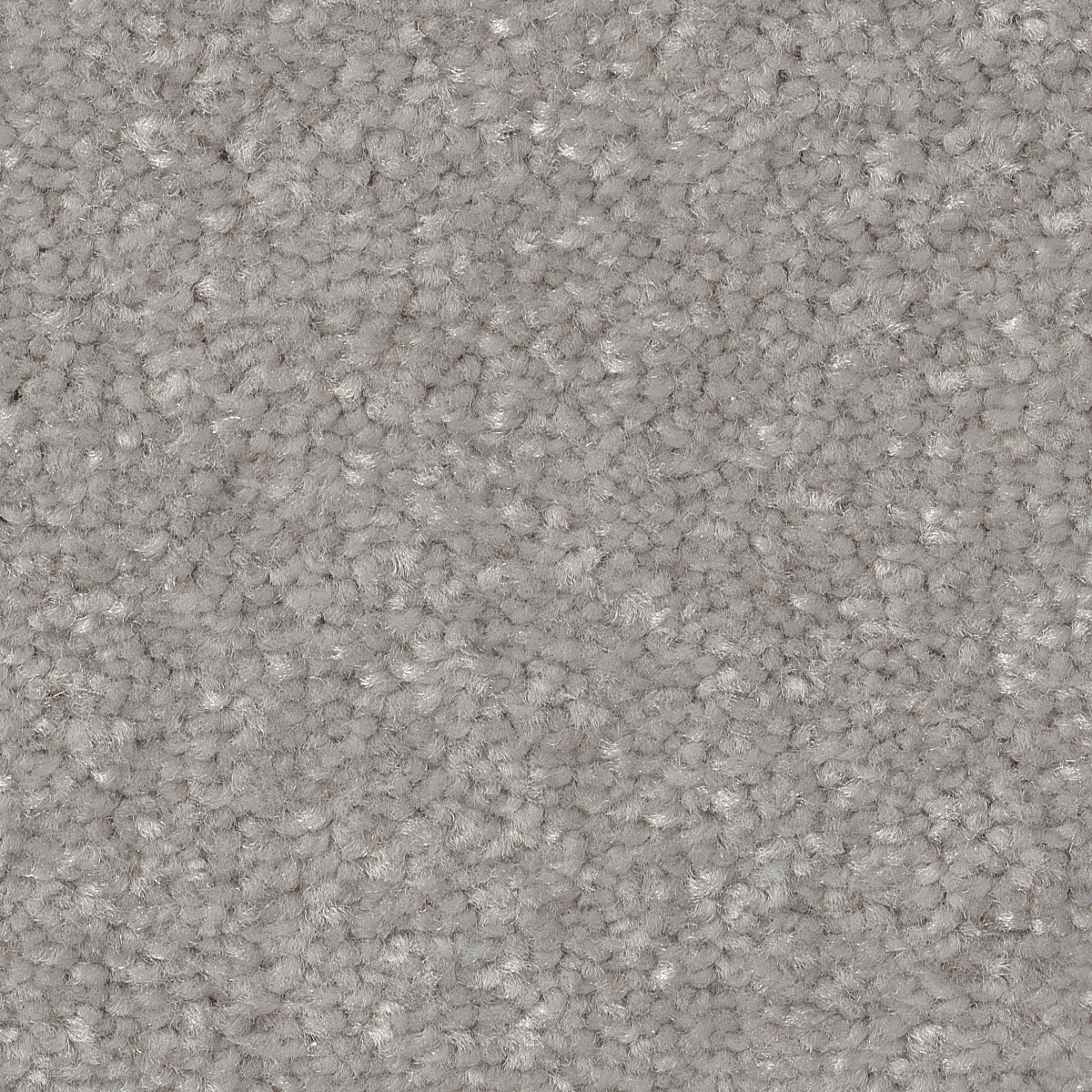 STAINMASTER 7L863 - 508 - SAMP (Sample) Best Intentions II Rock Crystal Gray 53.6-oz sq yard Polyester Textured Indoor Carpet