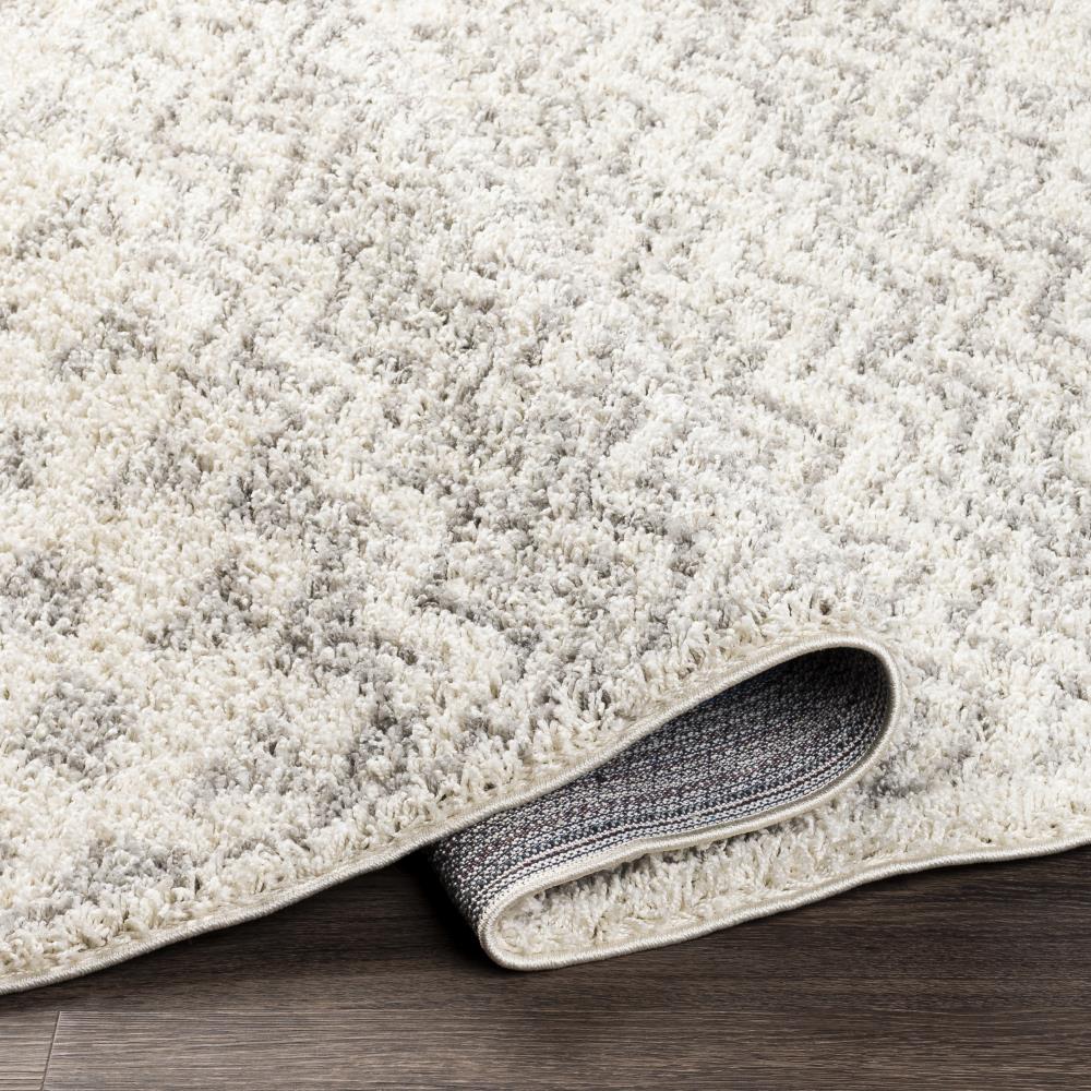 Surya TZS2342-71010 rugs - View #4