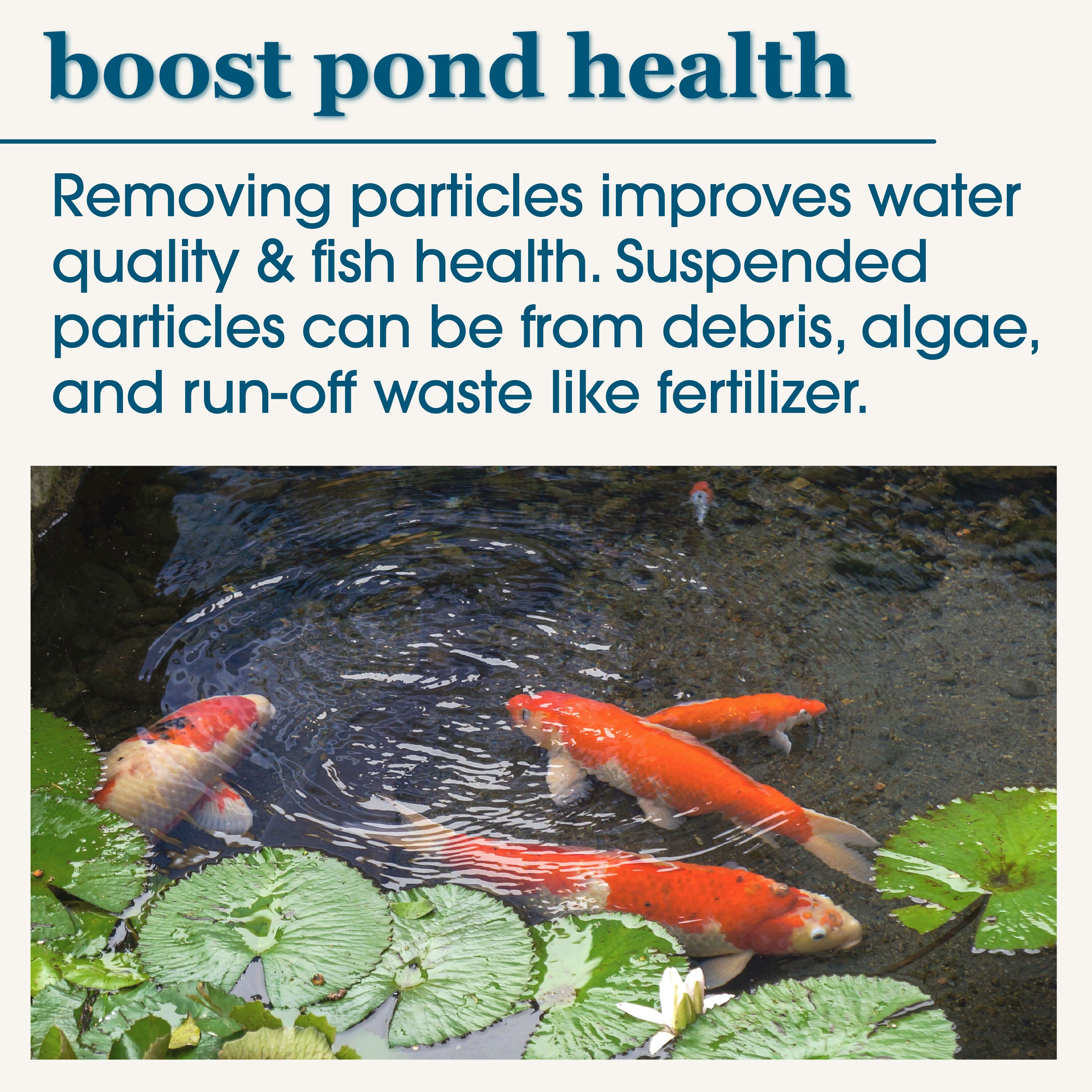 smartpond 54399 Pond-Cleaners - View #8