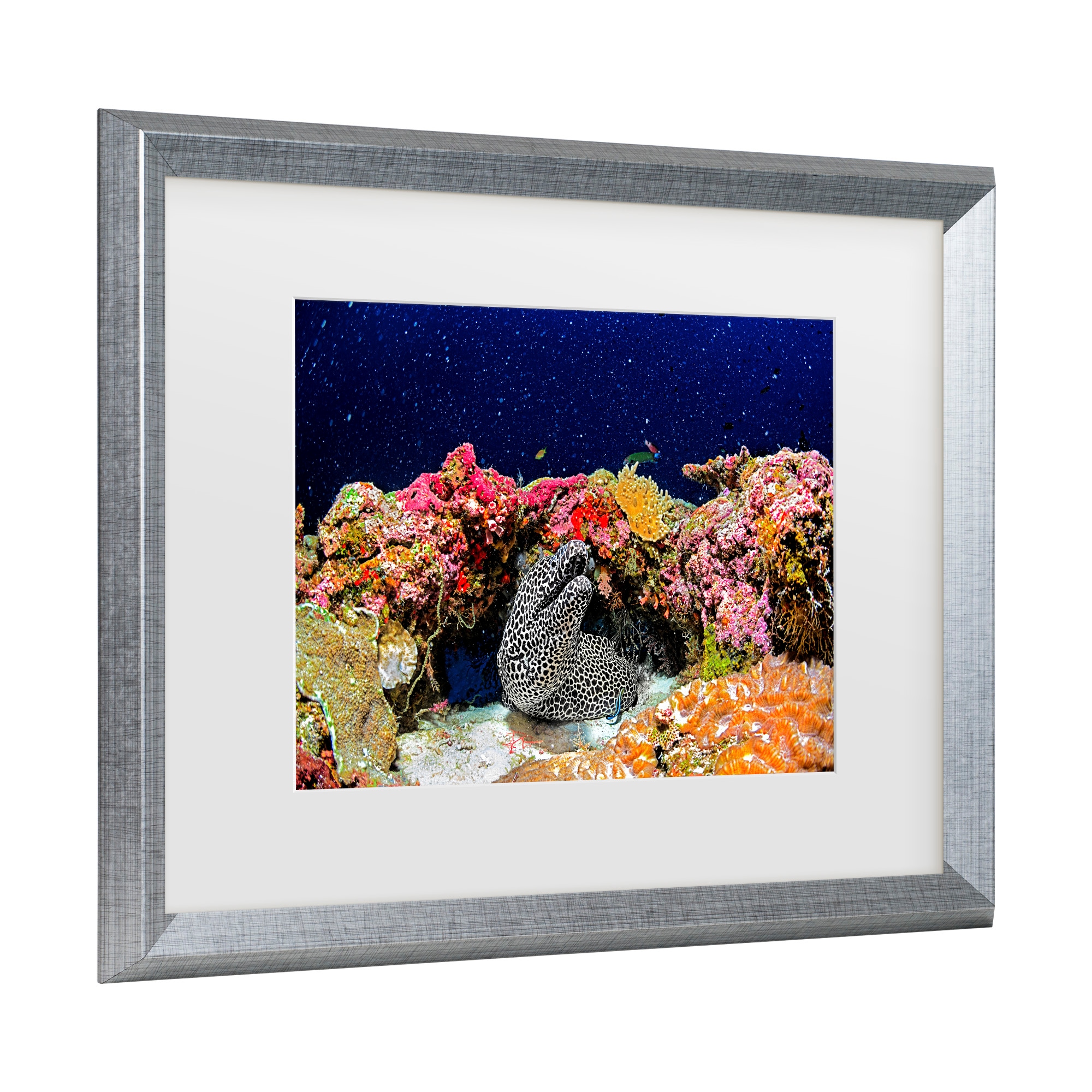 Trademark Fine Art 1X10504-S1620MF Wall-Art - View #3