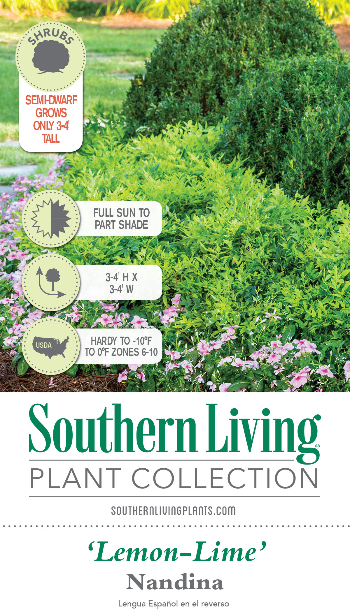 Southern Living Plant Collection 4316Q-2 shrubs - View #6