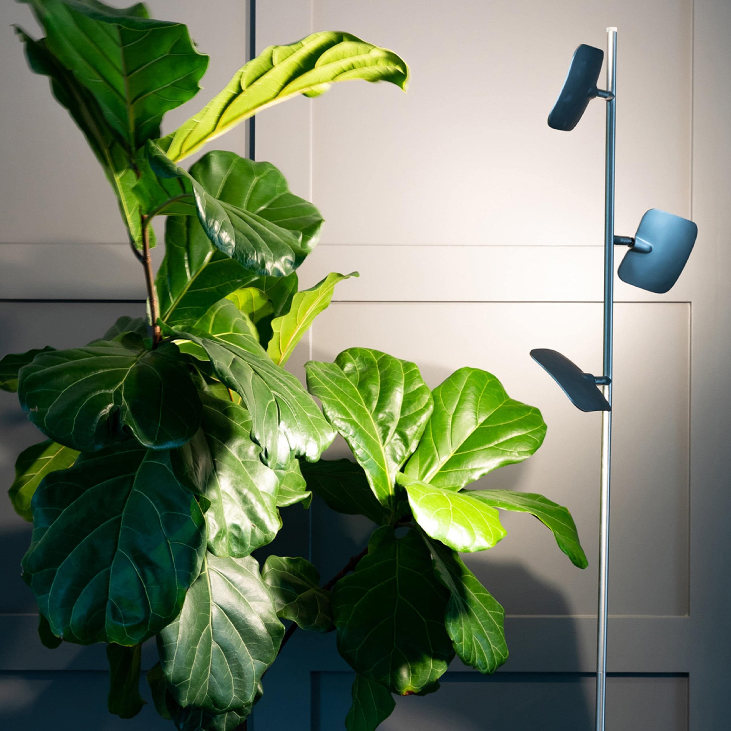 Brightech AP-U89B-U1IV floorlamps - View #6