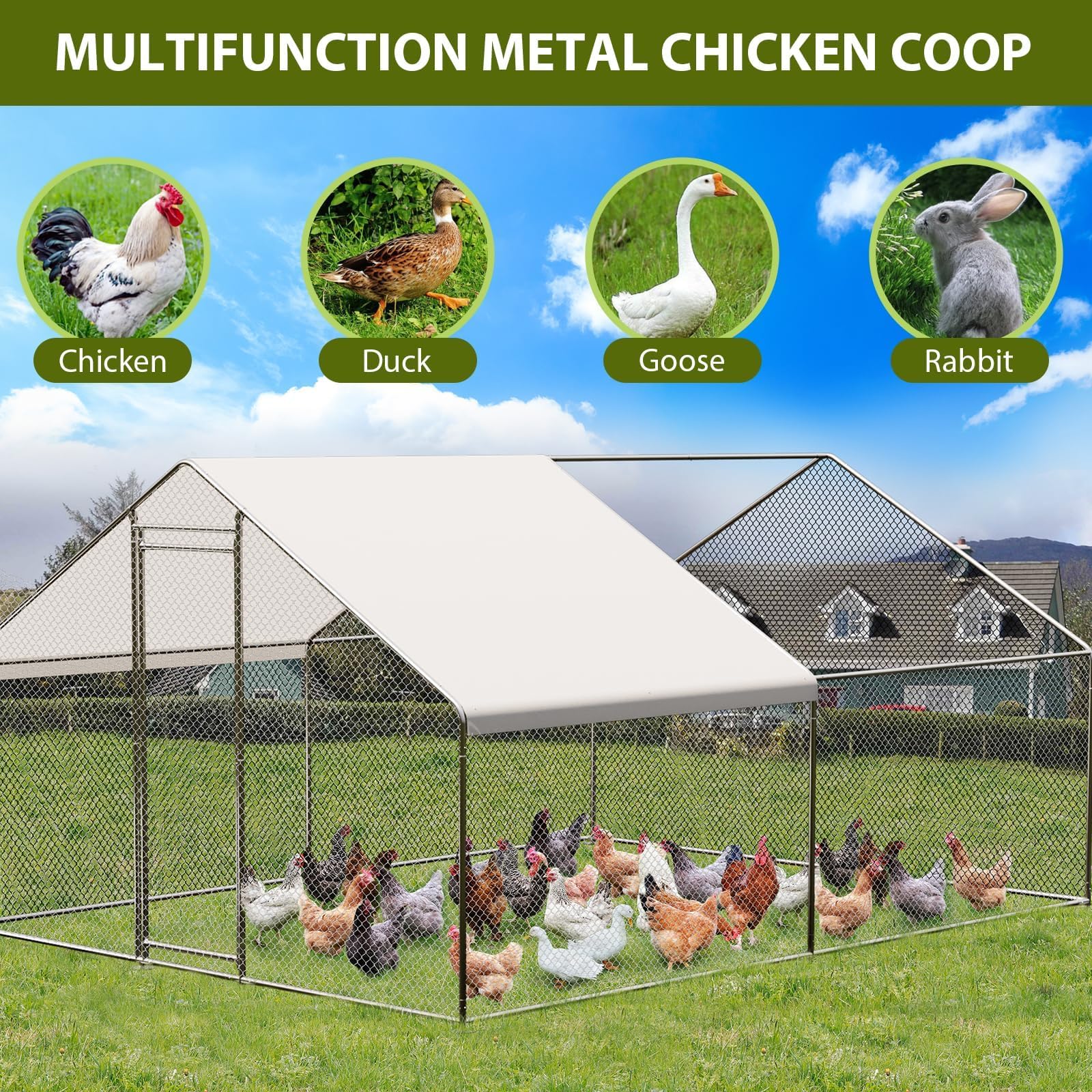 Garvee YXY-LO-PHO-15H75ADW Chicken-Coops-Rabbit-Hutches - View #3