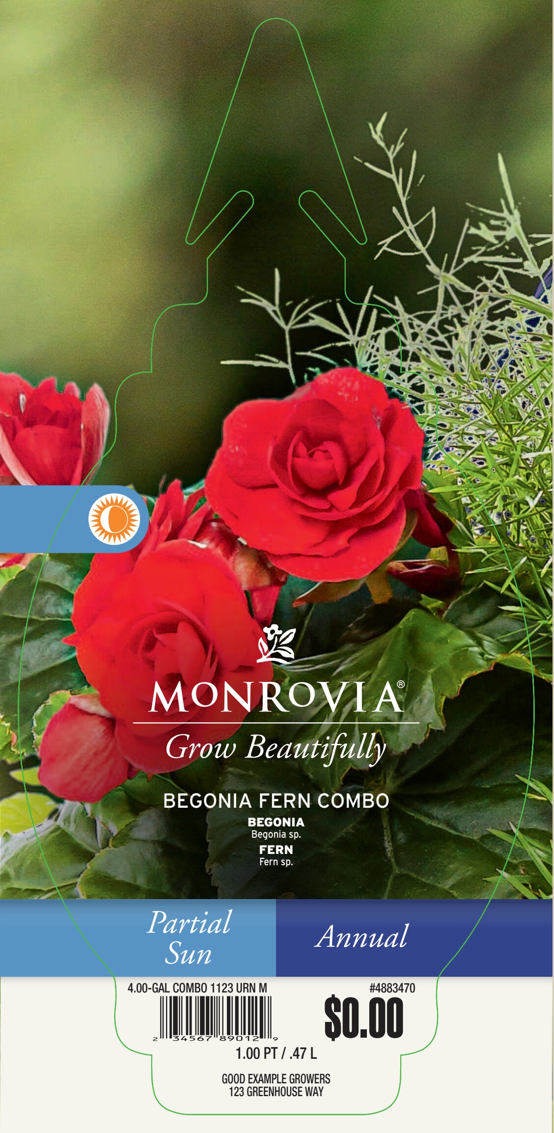 Monrovia 4883470 annuals - View #3