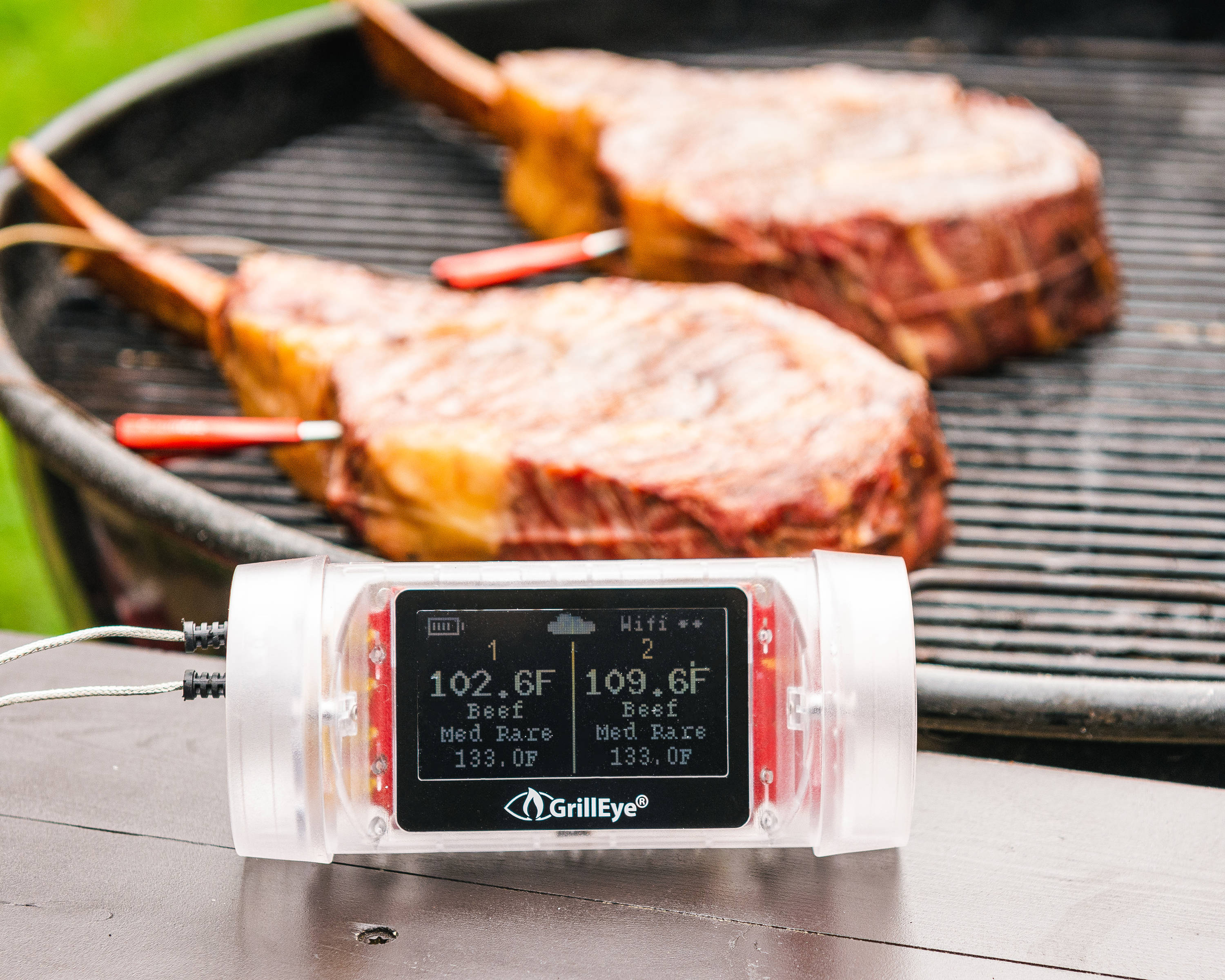 wireless outdoor wifi meat thermometer waterproof for the oven grill IBBQ-4T