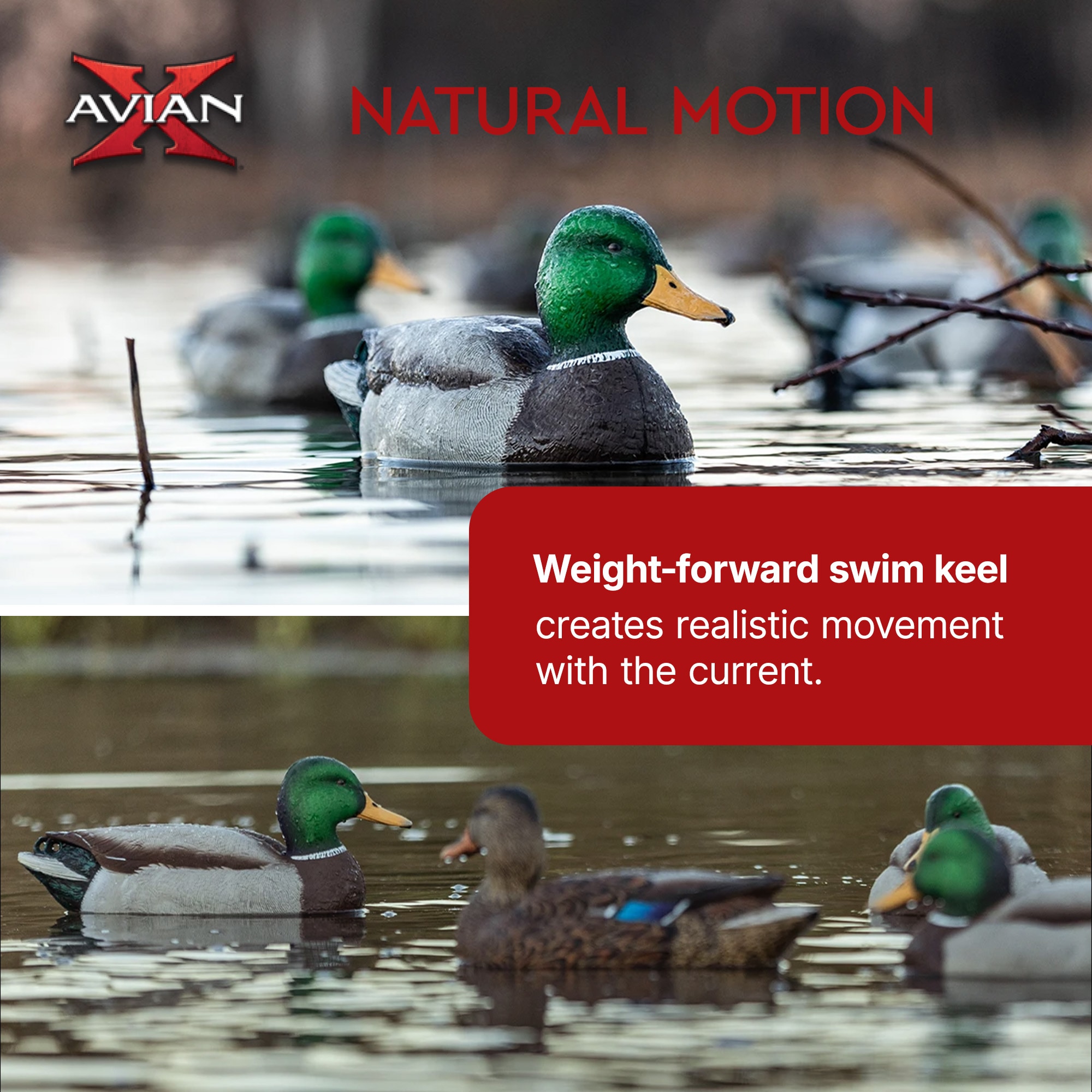 Avian X AVX-AVX8060 Hunting-Equipment - View #3