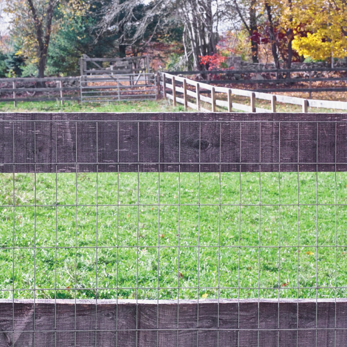 Gray Steel Welded Wire Rolled Fencing