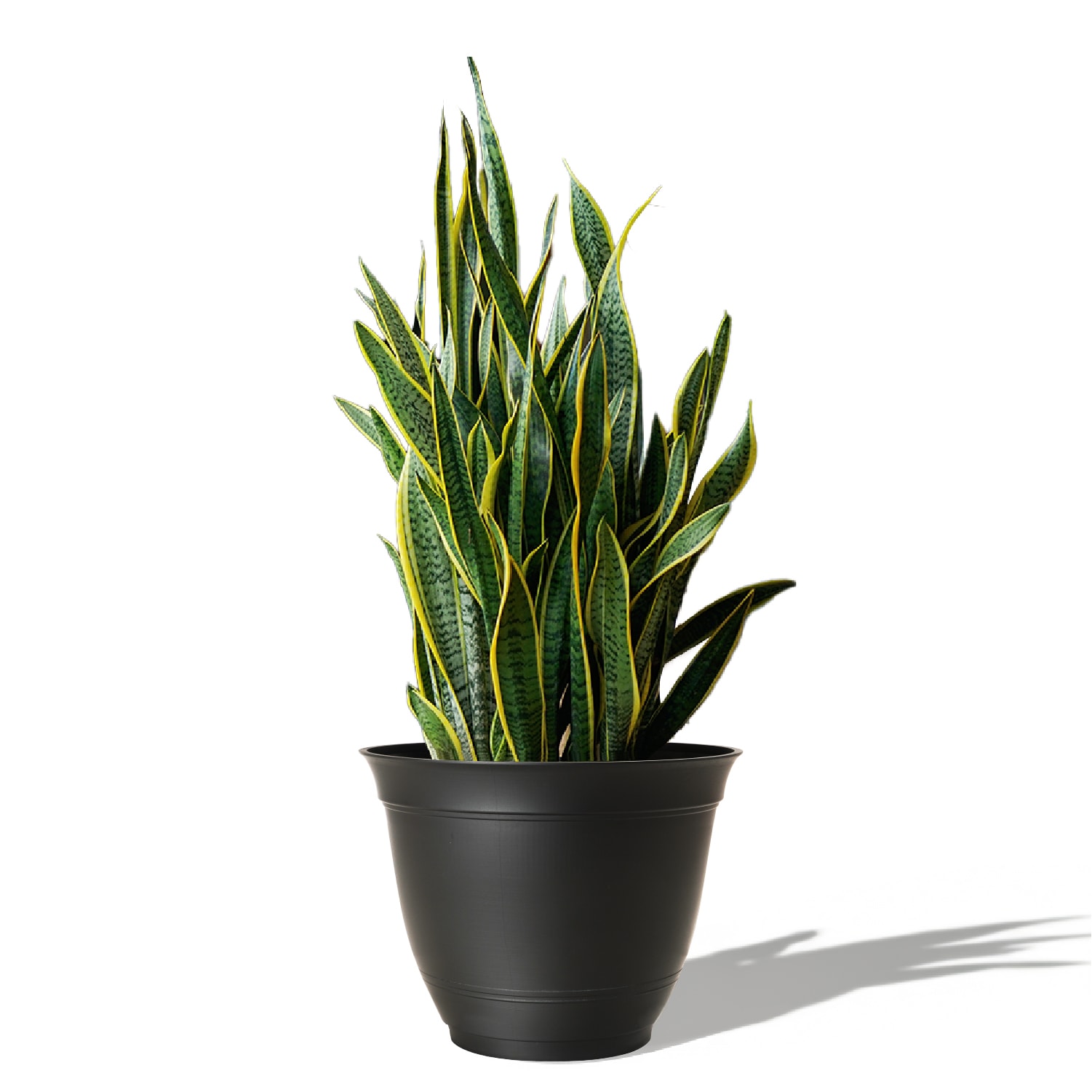 Style Selections DP2132C-BLACK Planter-Window-Box - View #2
