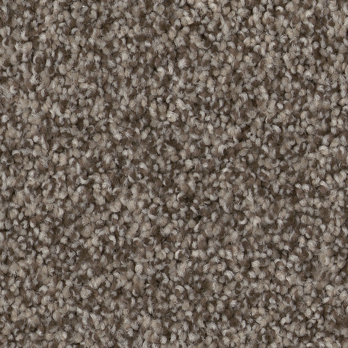 STAINMASTER PetProtect 7L858 - 536 - SAMP (Sample) Reverie III Arrowhead Gray 63.4-oz sq yard Nylon Textured Indoor Carpet