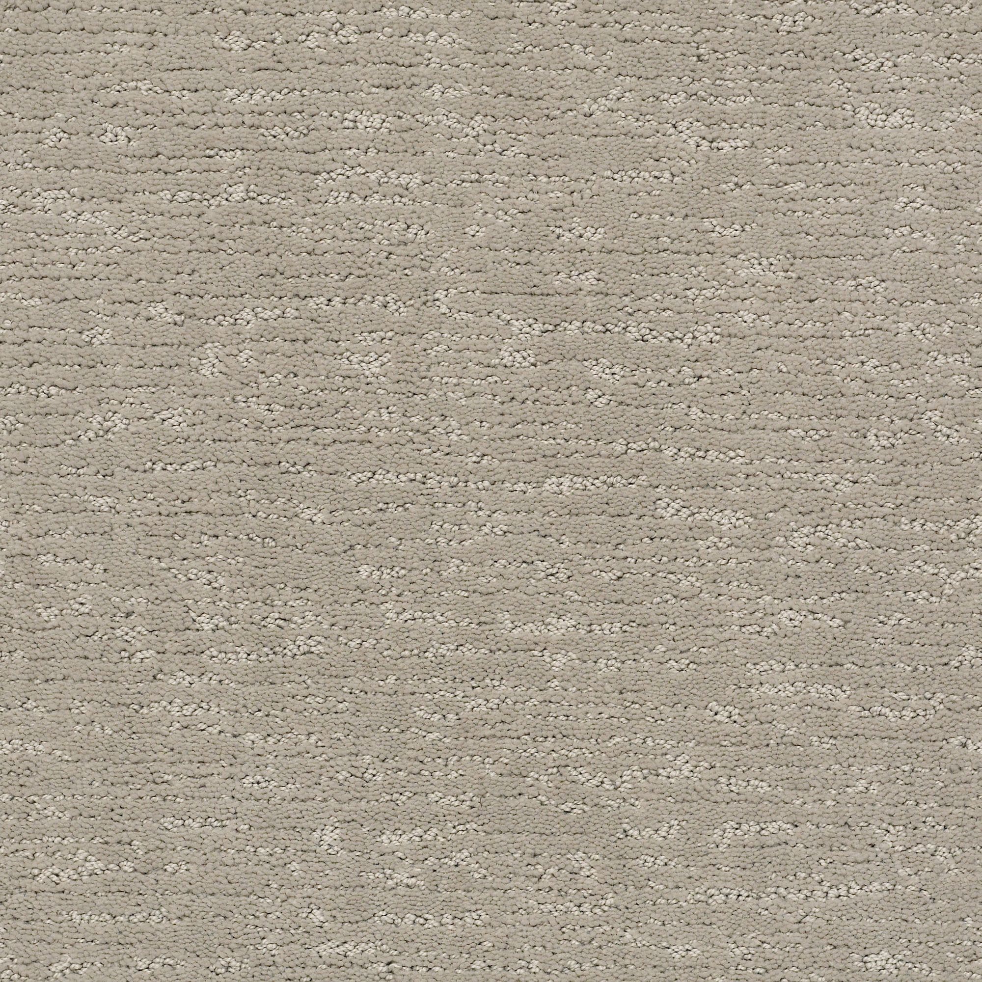 STAINMASTER PetProtect 7L90200551 Always There Cumulus Gray 35.1-oz sq yard Nylon Pattern Indoor Carpet