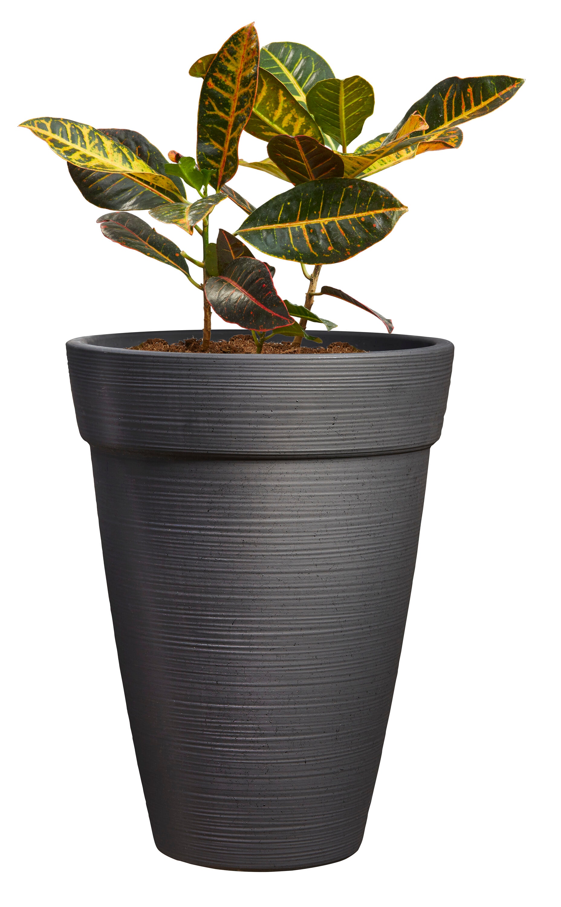allen + roth UT630690 Planter-Window-Box - View #9