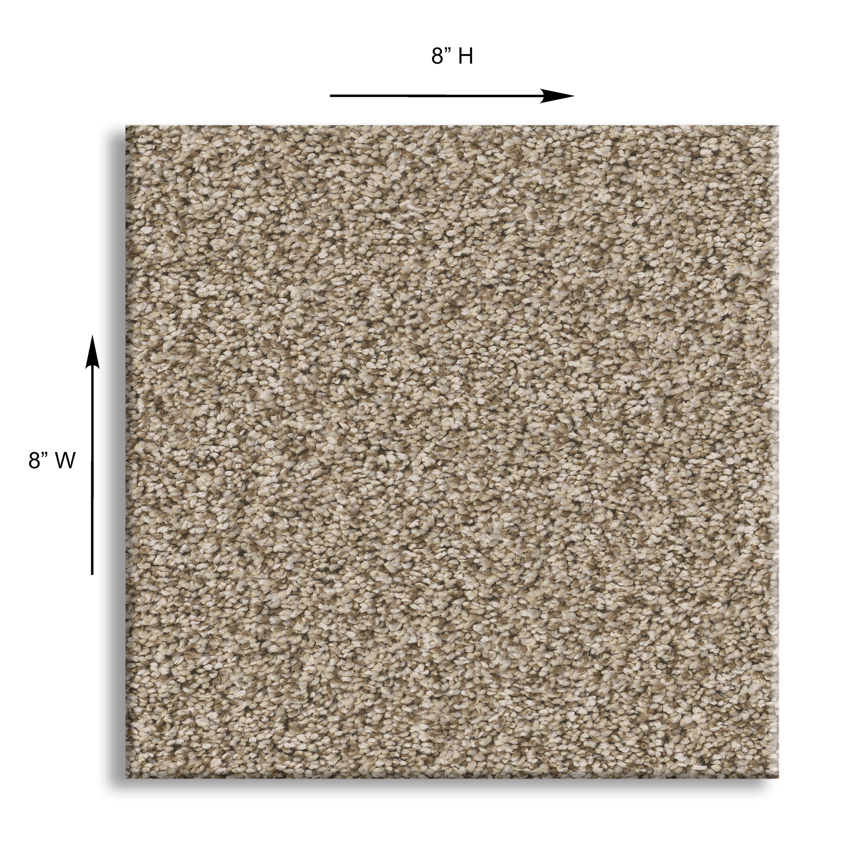 STAINMASTER 7L856 - 710 - SAMP Carpet-Samples - View #7